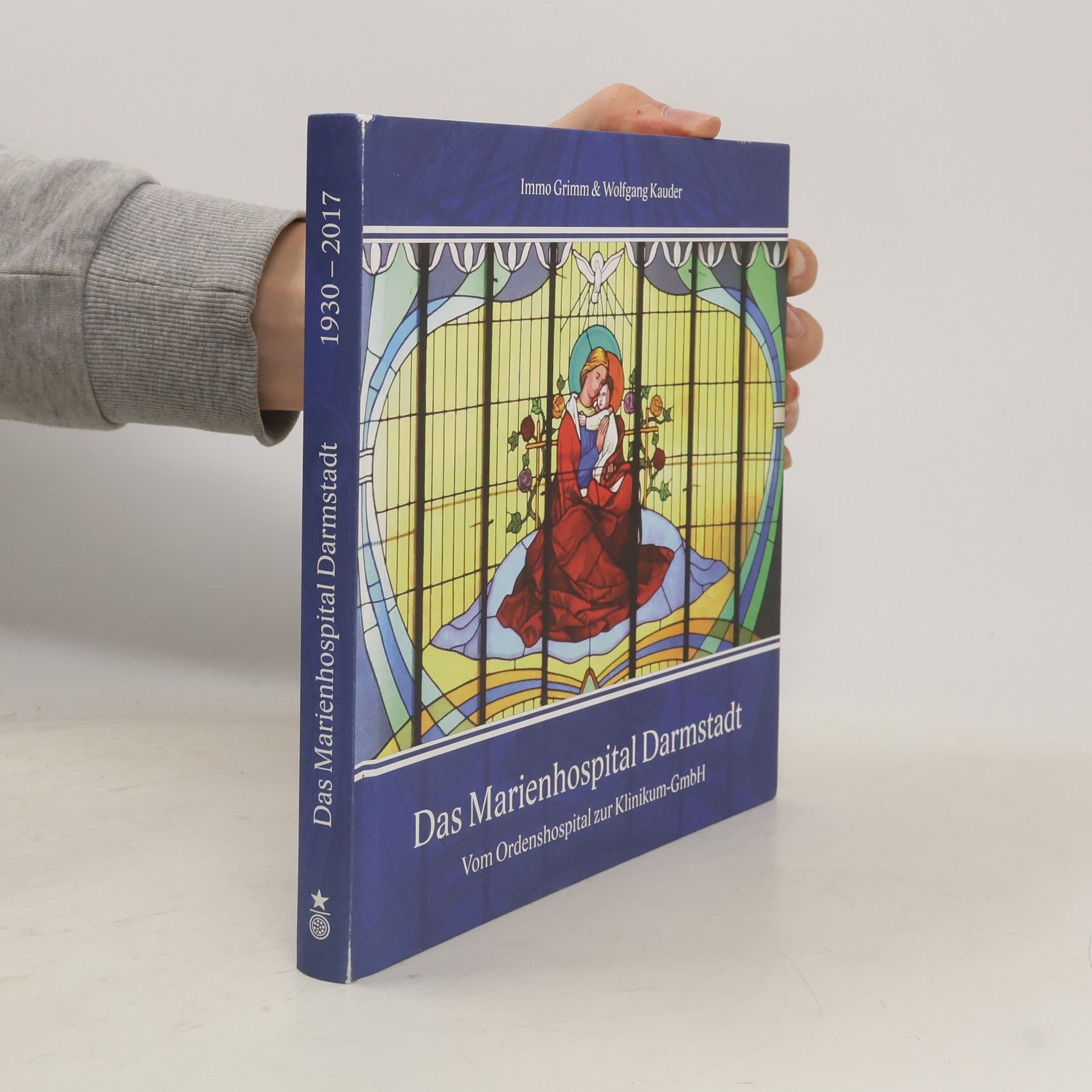 Immo Grimm Das Marienhospital Darmstadt