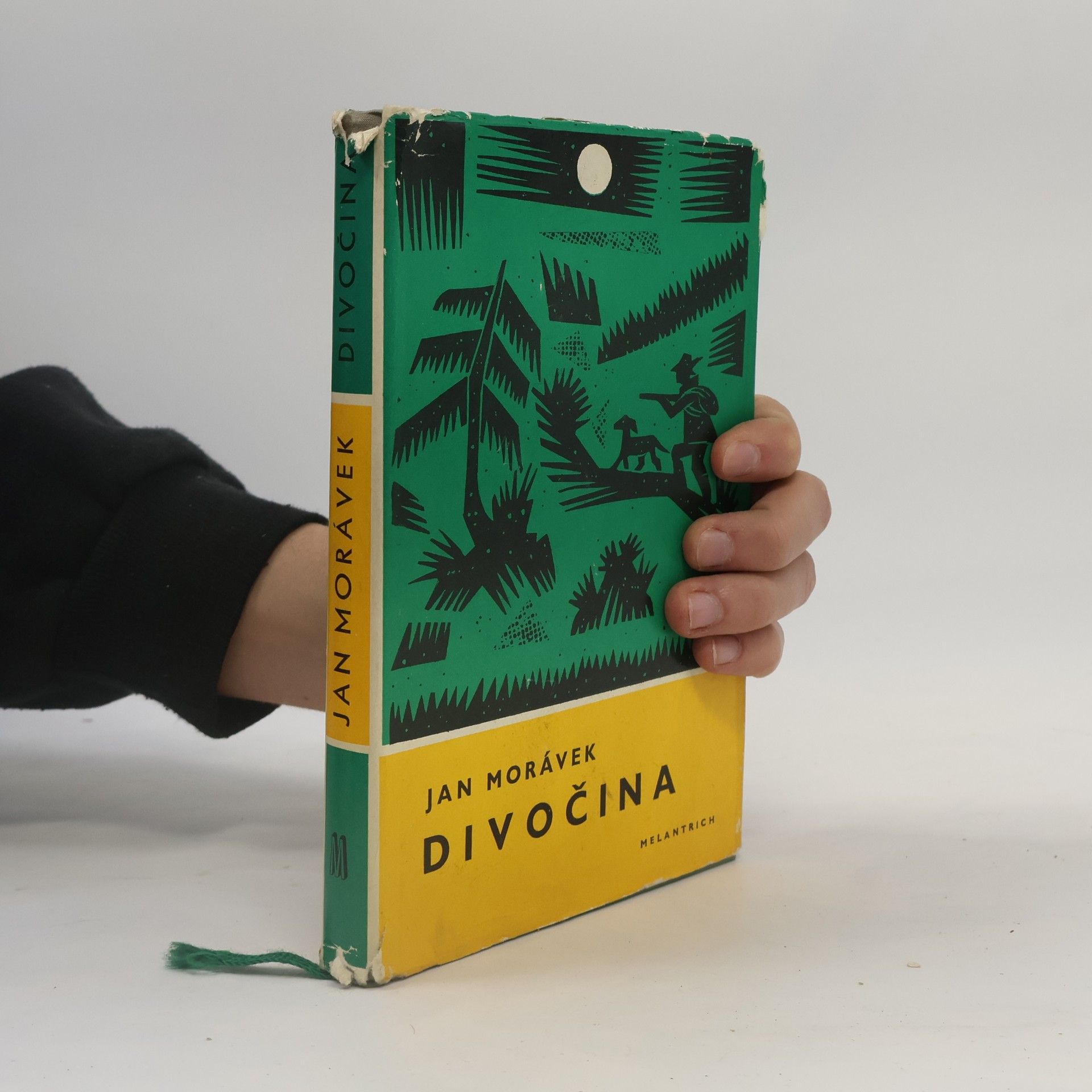 Jan Morávek Divočina