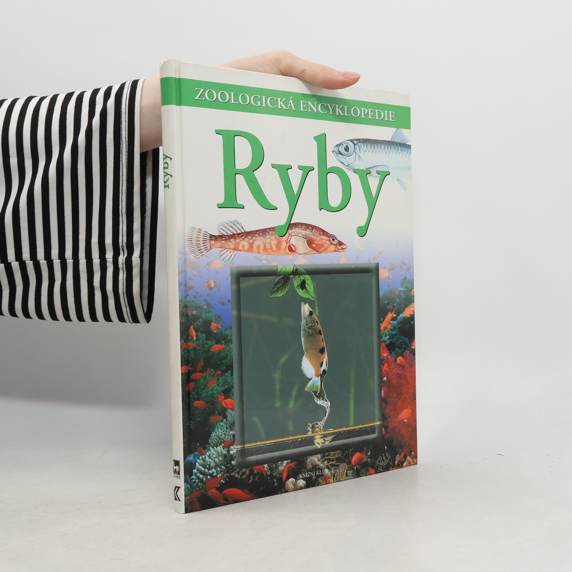 Günter Diesener Ryby