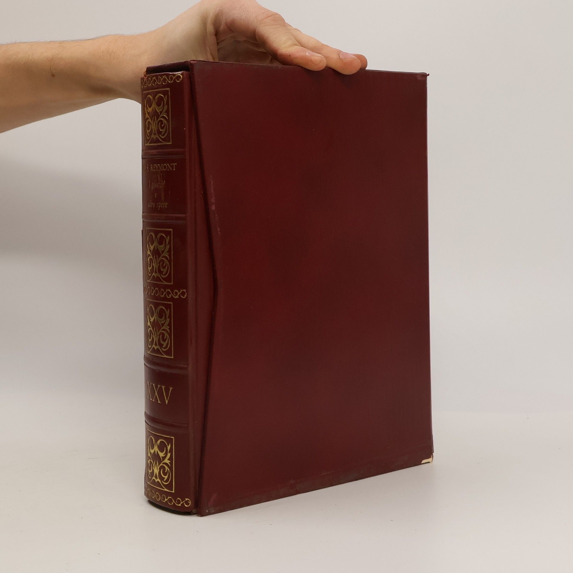 Collectif d'auteurs W. S. Reymont. Premio Nobel per la Letteratura 1924