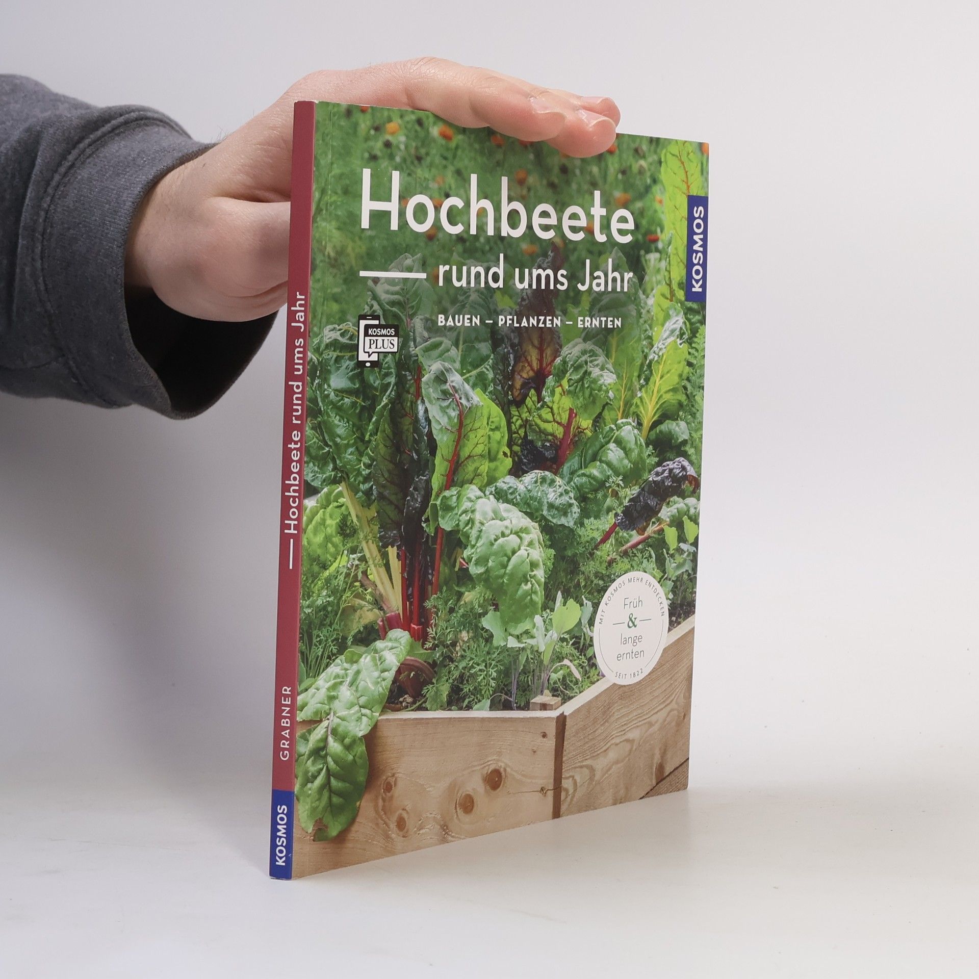 Melanie Grabner Mein Garten: Hochbeete rund ums Jahr