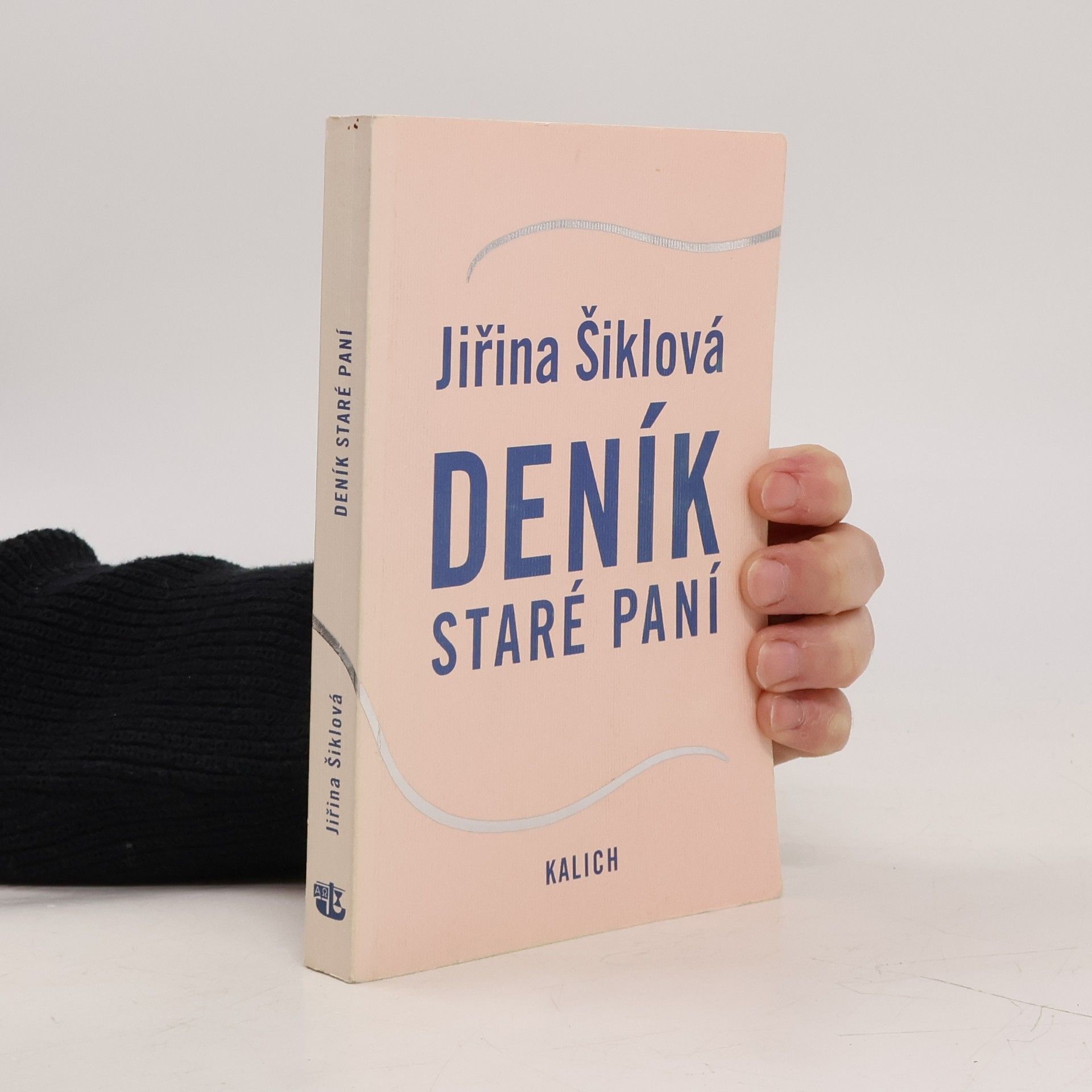 Jiřina Šiklová Deník staré paní