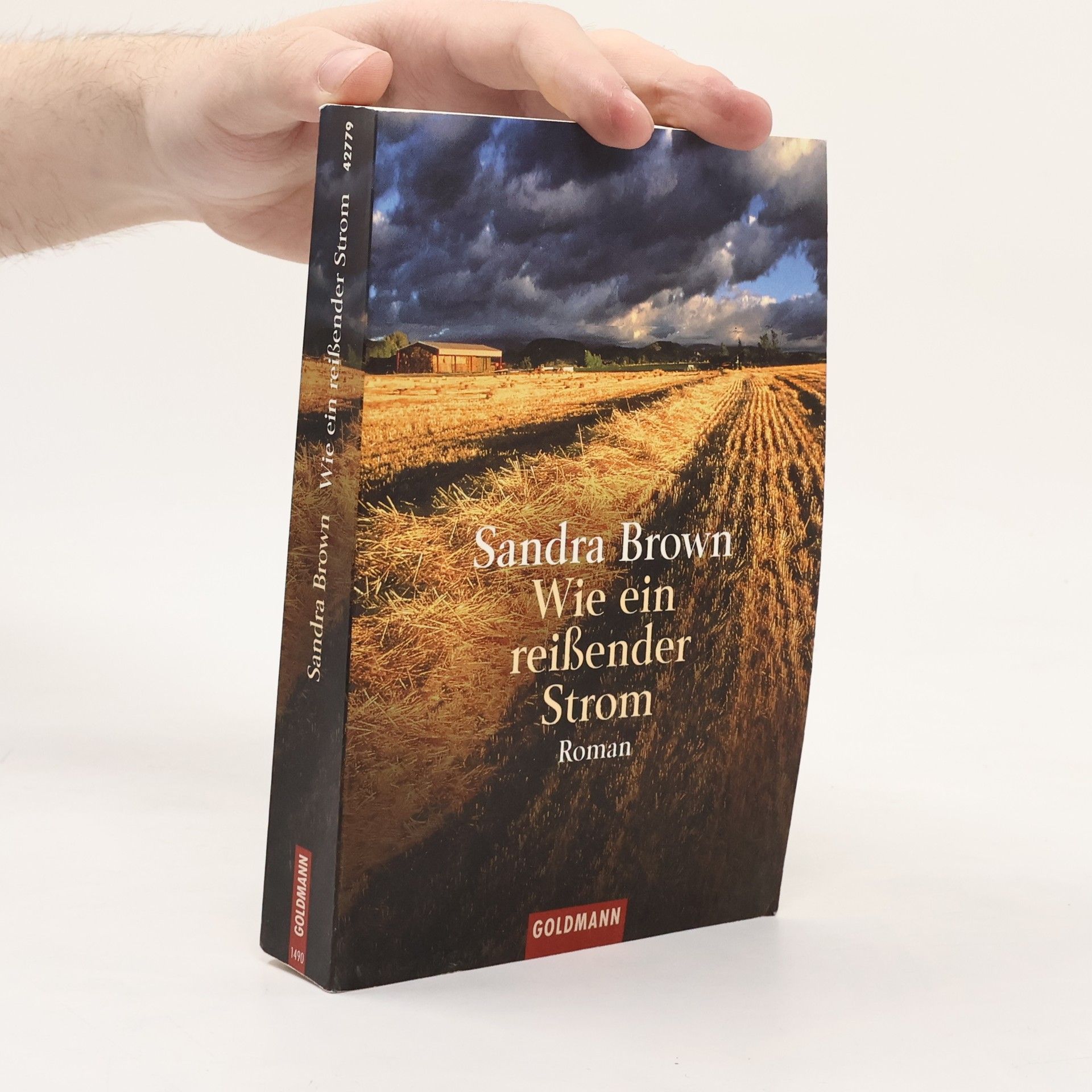 Sandra Brown Wie ein reißender Strom