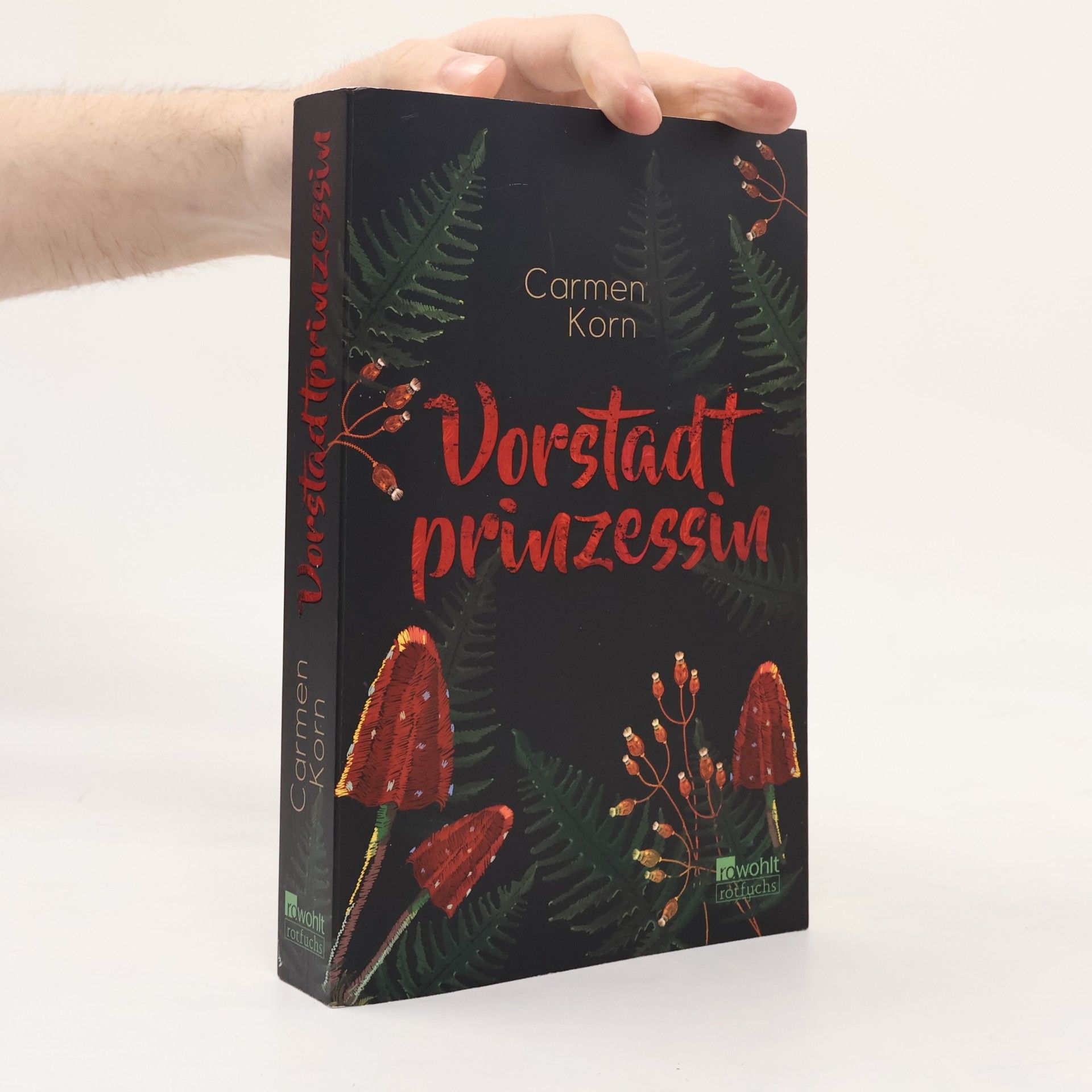 Carmen Korn Vorstadtprinzessin