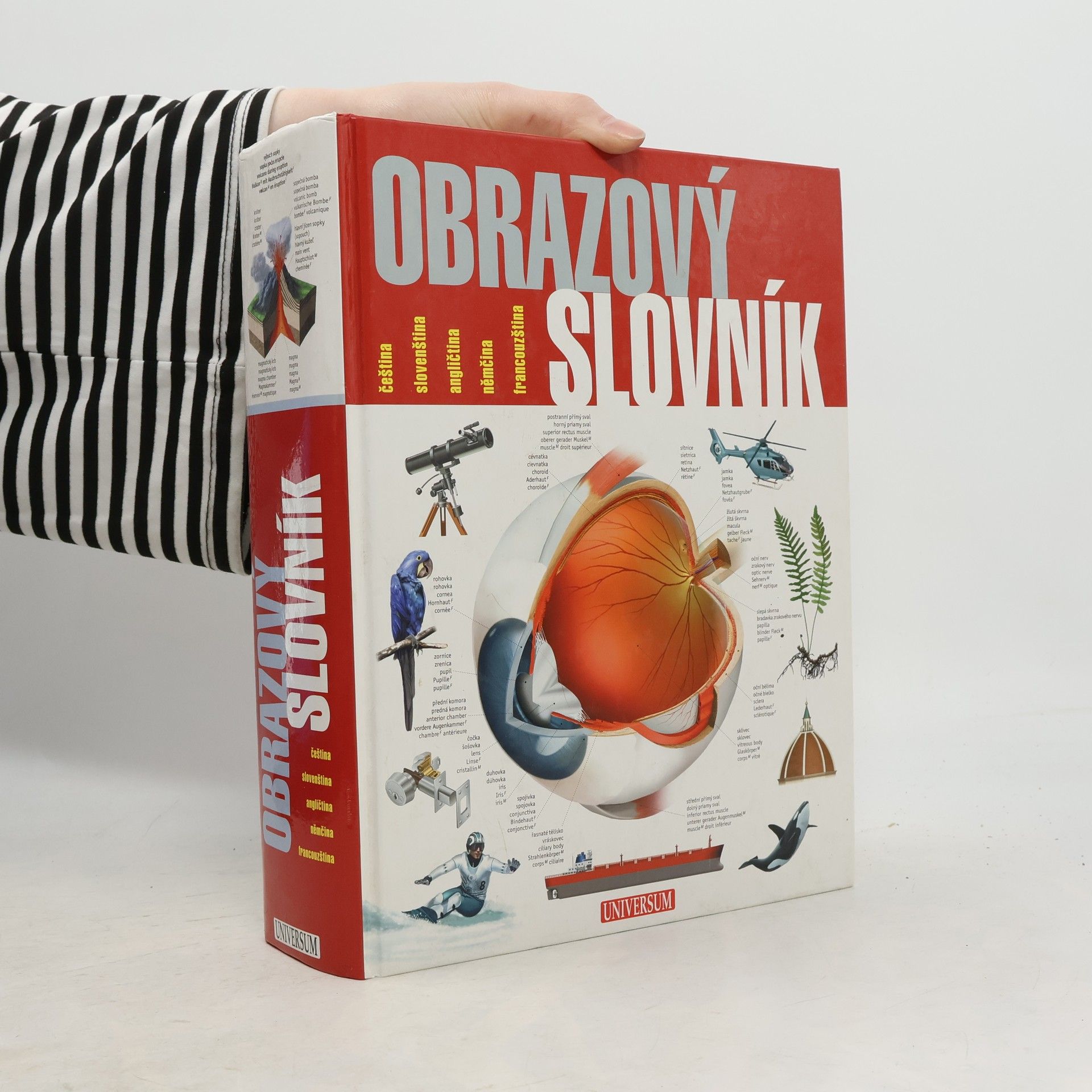 Ariane Archambault Obrazový slovník