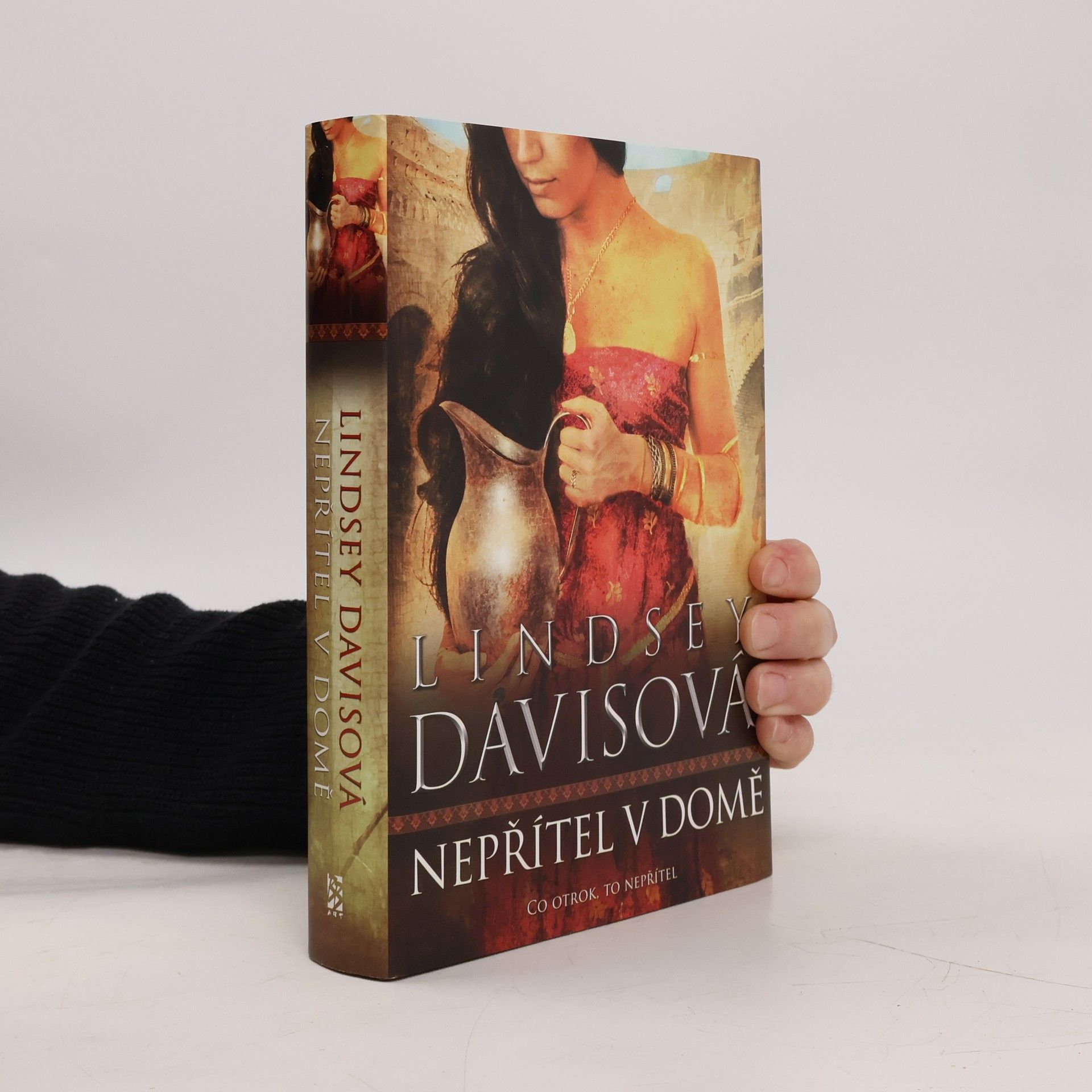 Lindsey Davis Nepřítel v domě