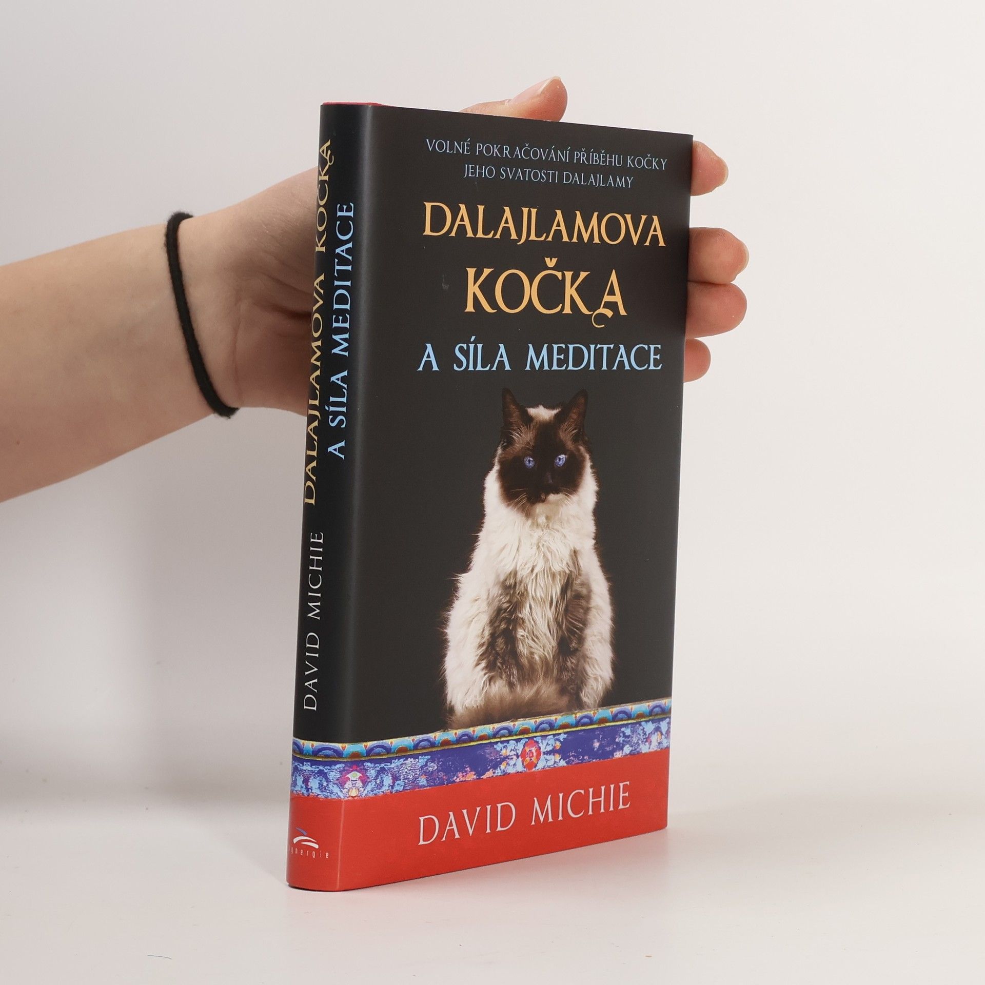 Dalajlamova kočka a síla meditace