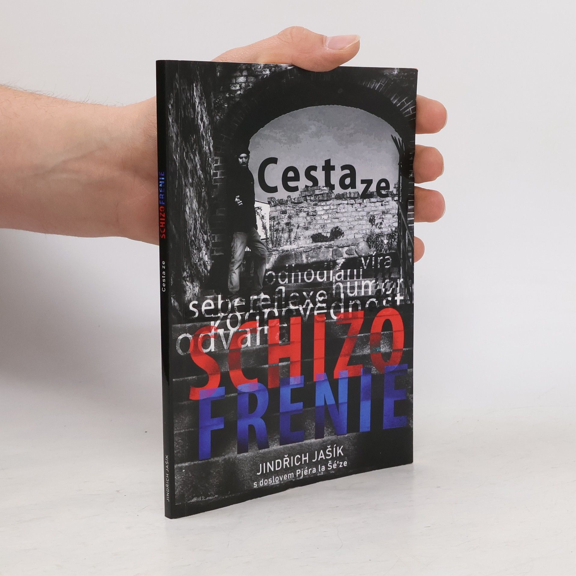 Jindřich Jašík Cesta ze schizofrenie