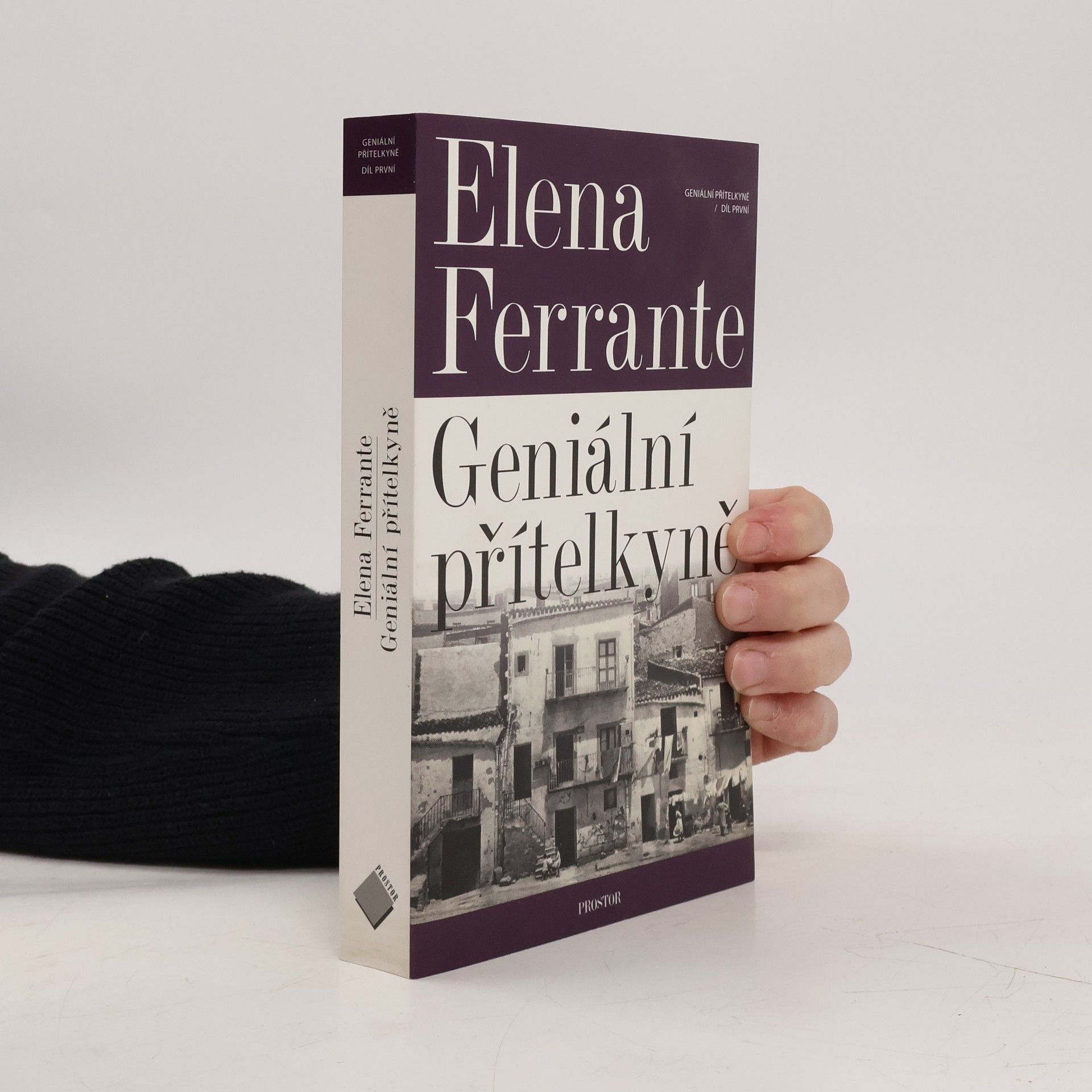 Elena Ferrante Geniální přítelkyně 1. Dětství a dospívání