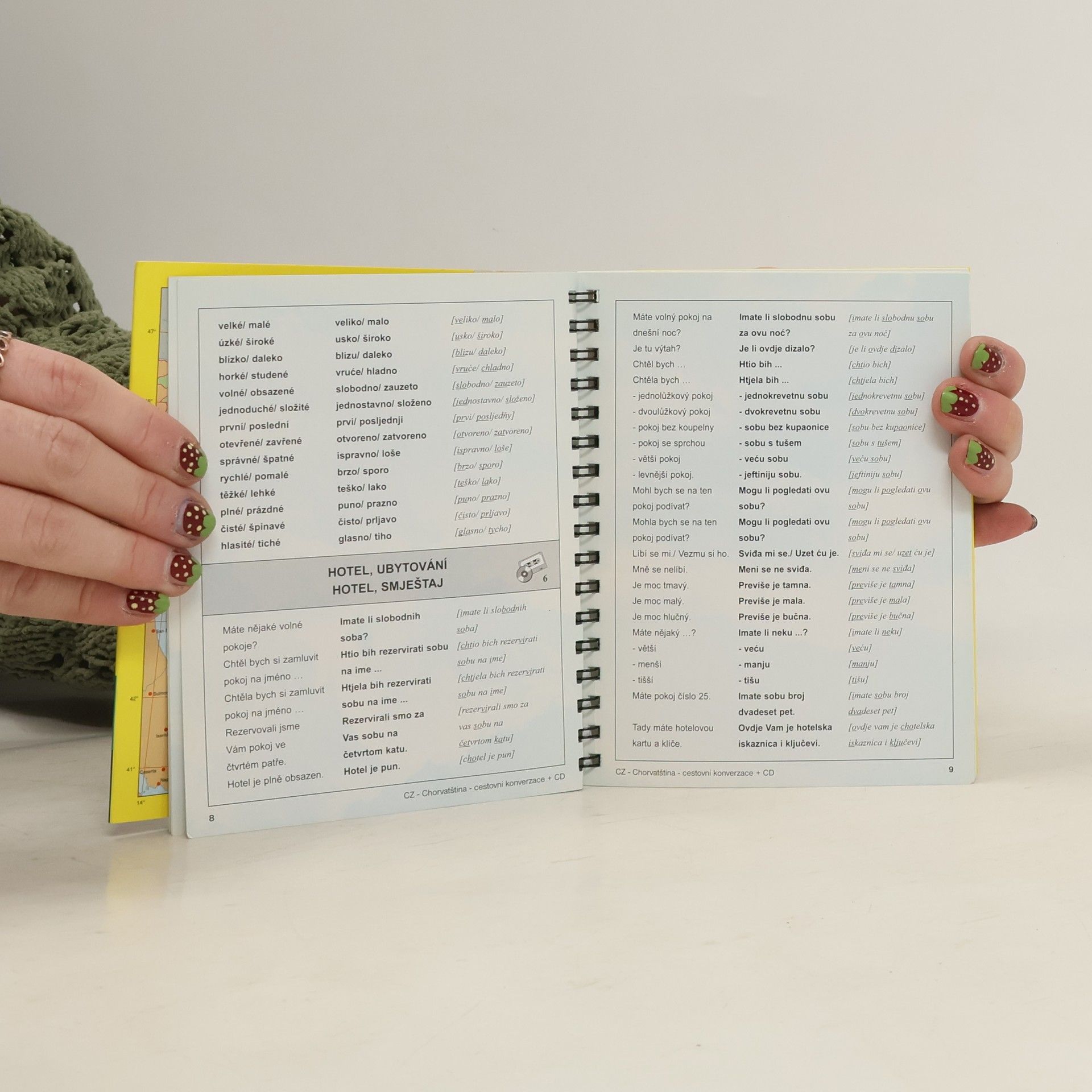 Collectif d'auteurs Chorvatština. Cestovní konverzace. Češko-hrvatska konverzacija