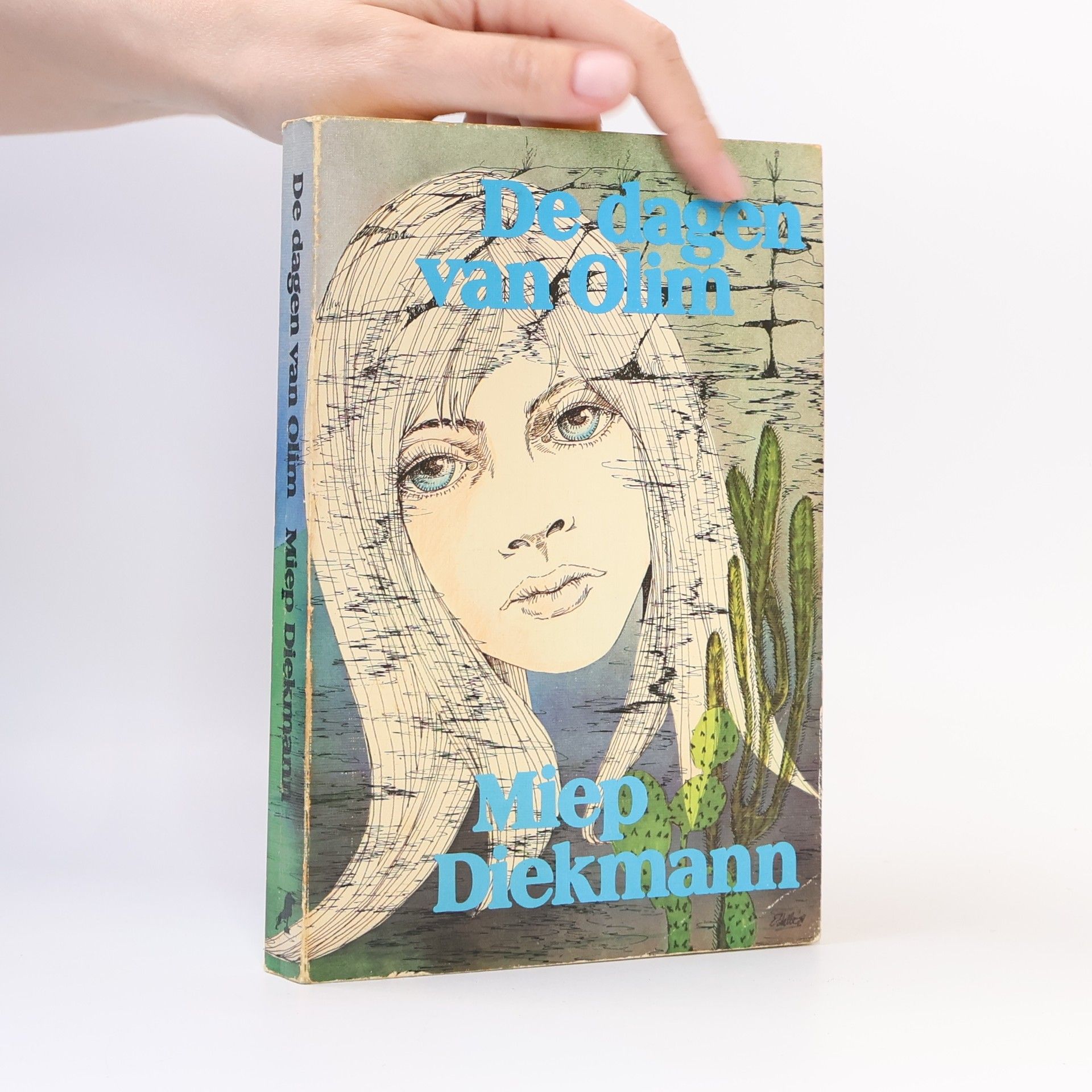 Miep Diekmann De dagen van Olim