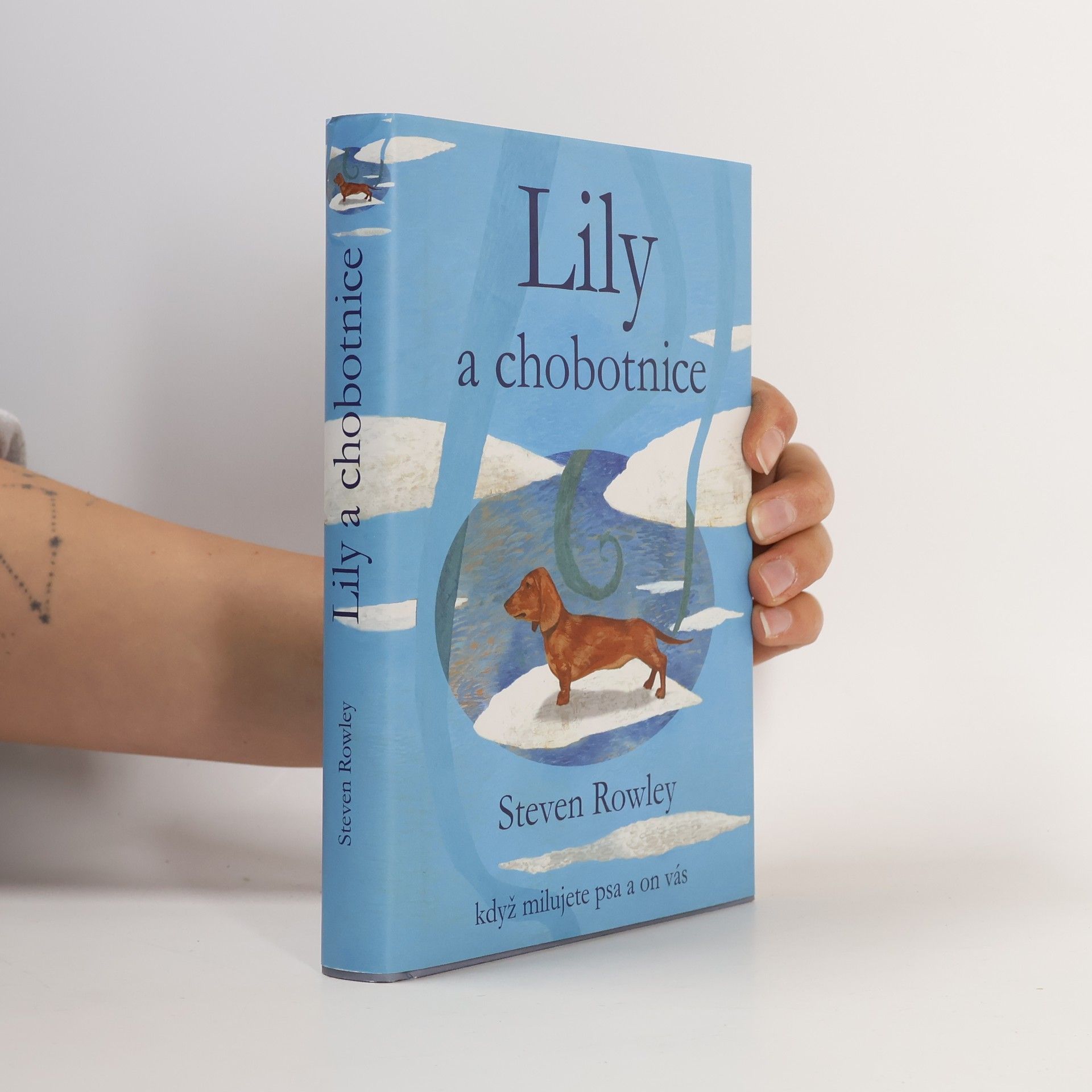 Steven Rowley Lily a chobotnice: Když milujete psa a on vás