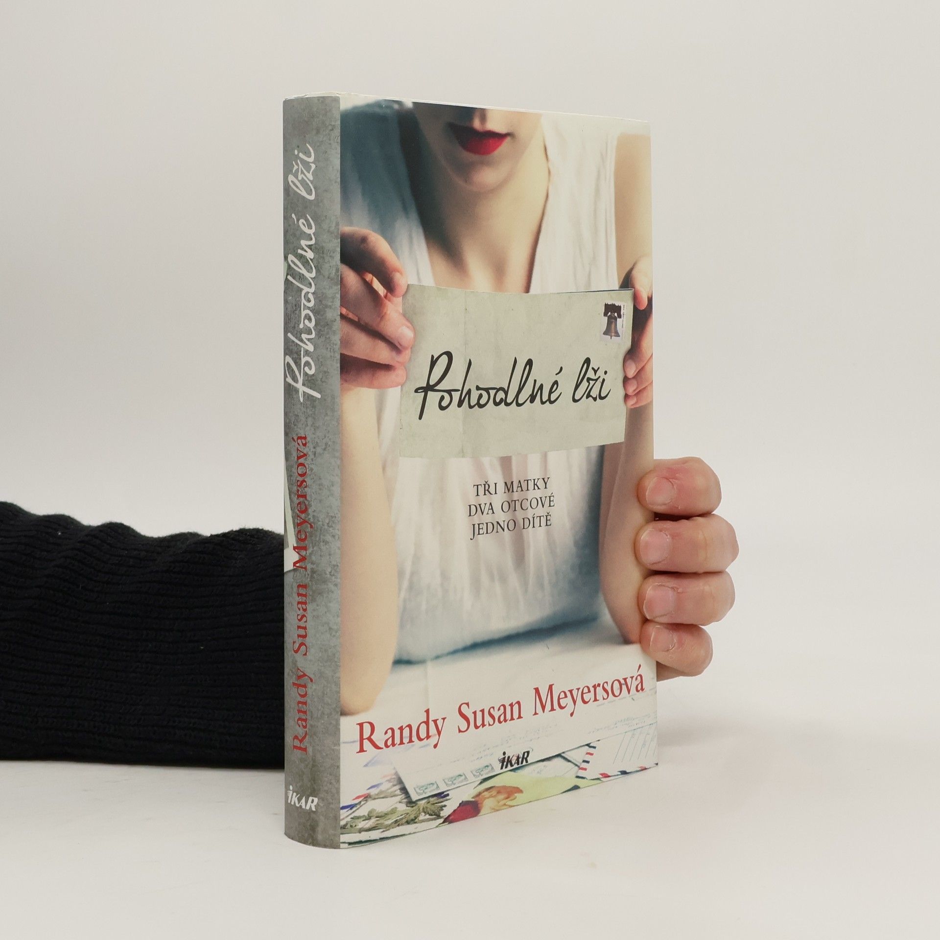 Randy Susan Meyers Pohodlné lži