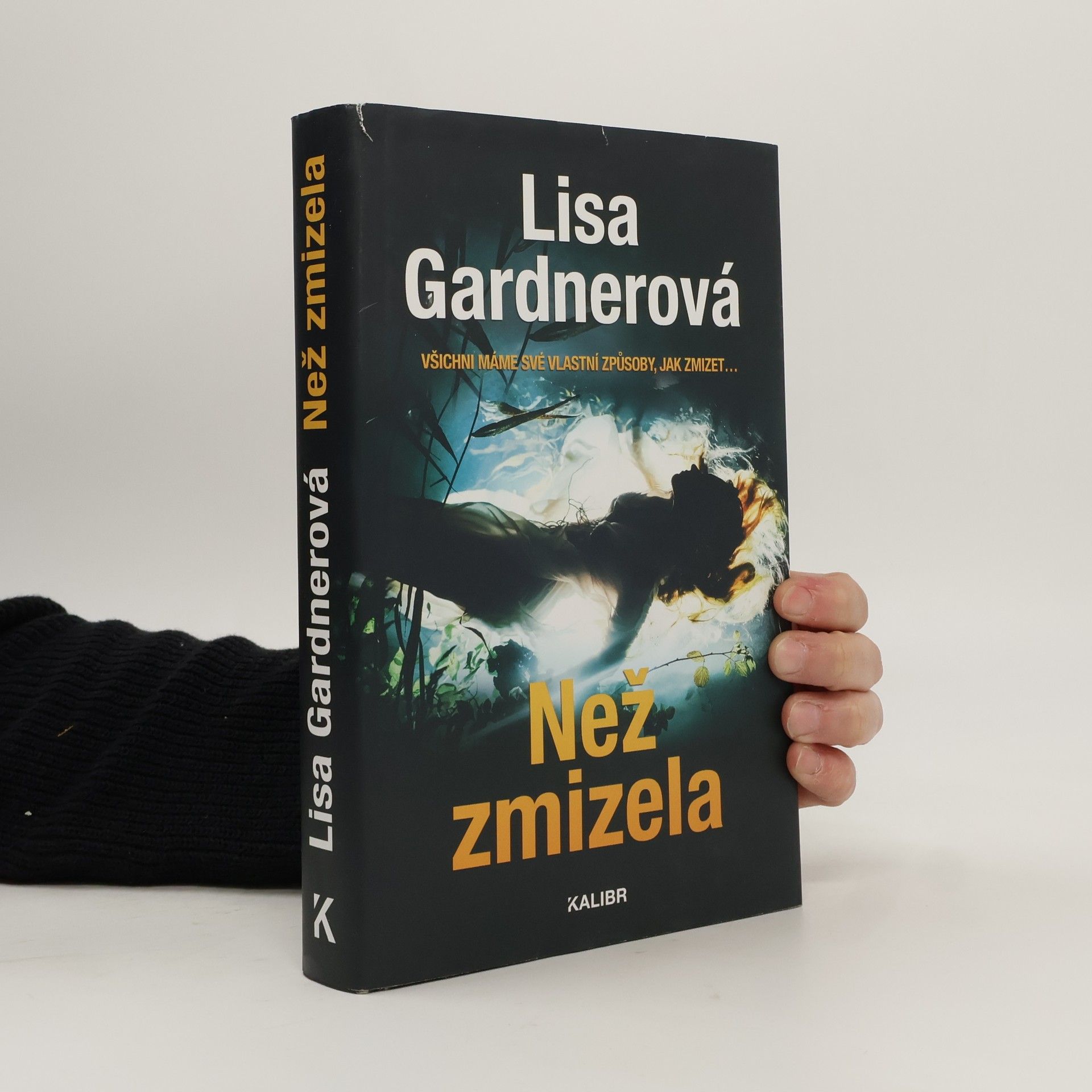 Lisa Gardner Než zmizela