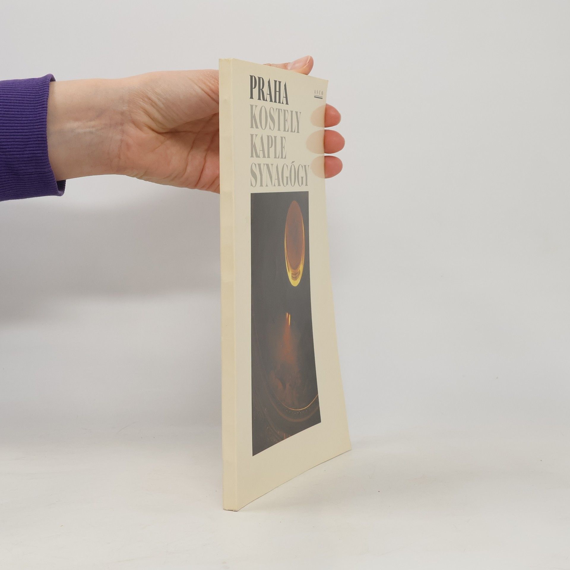 Evžen Veselý Praha : kostely, kaple, synagogy