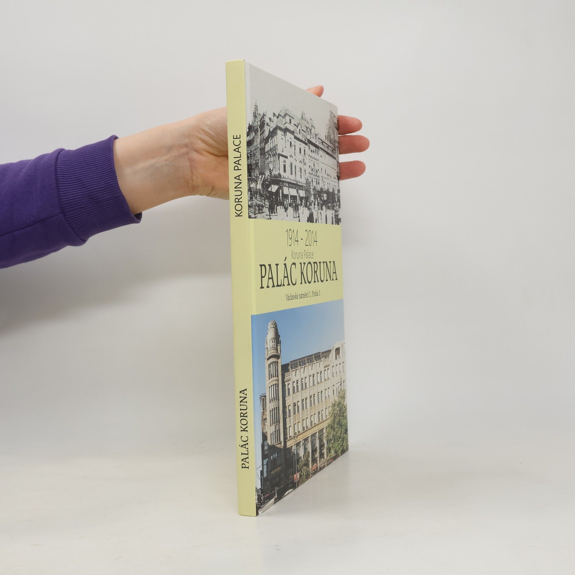 Josef Hrubeš Historie a současnost Paláce Koruna