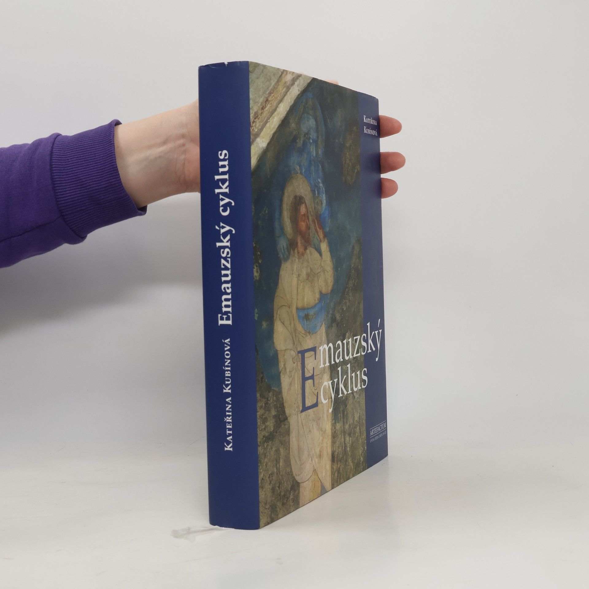 Kateřina Kubínová Emauzský cyklus. Ikonografie středověkých nástěnných maleb v ambitu kláštera Na Slovanech