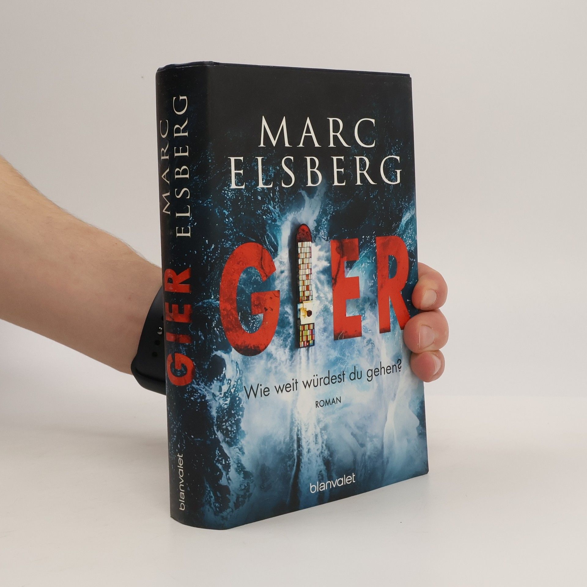 Marc Elsberg Gier