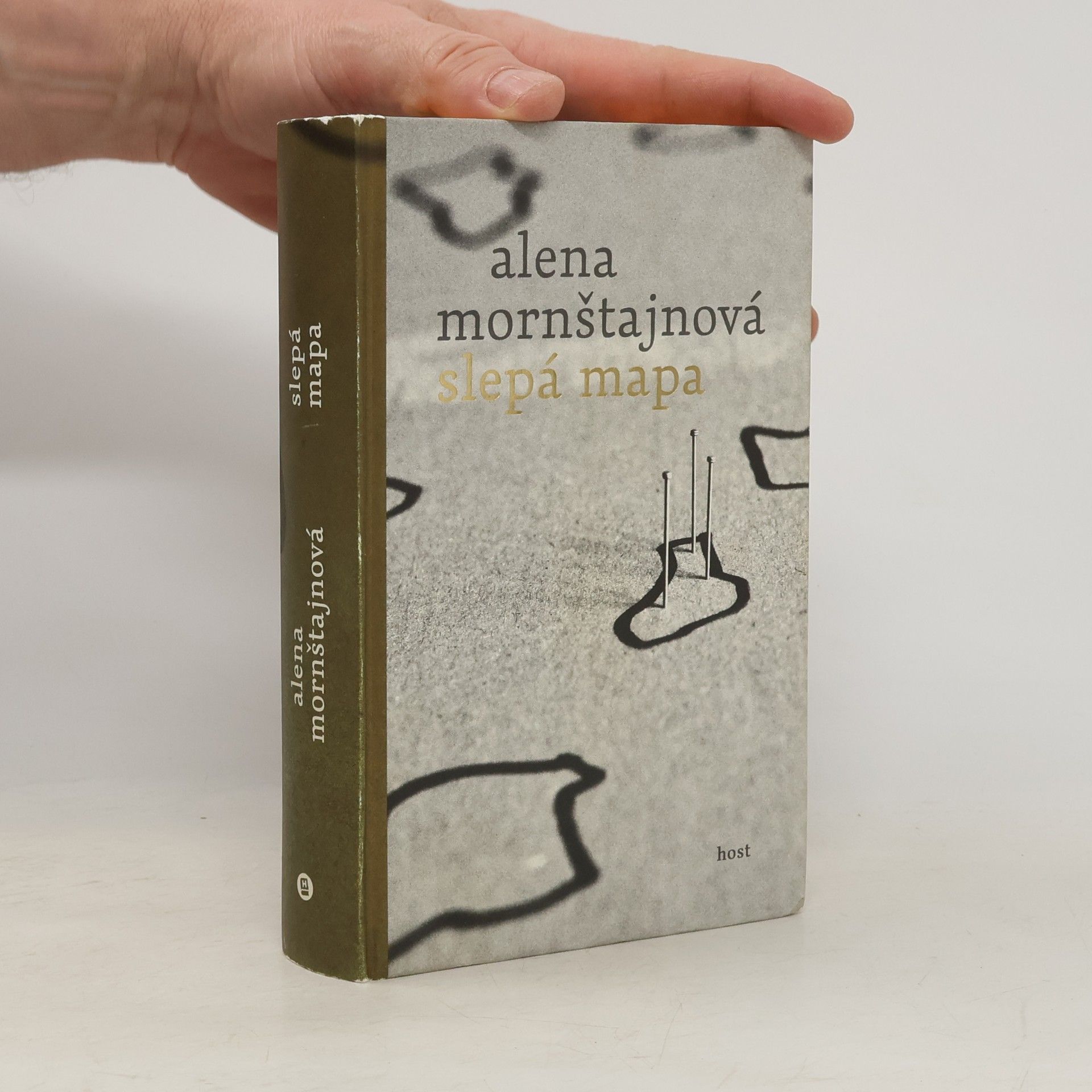 Alena Mornštajnová Slepá mapa