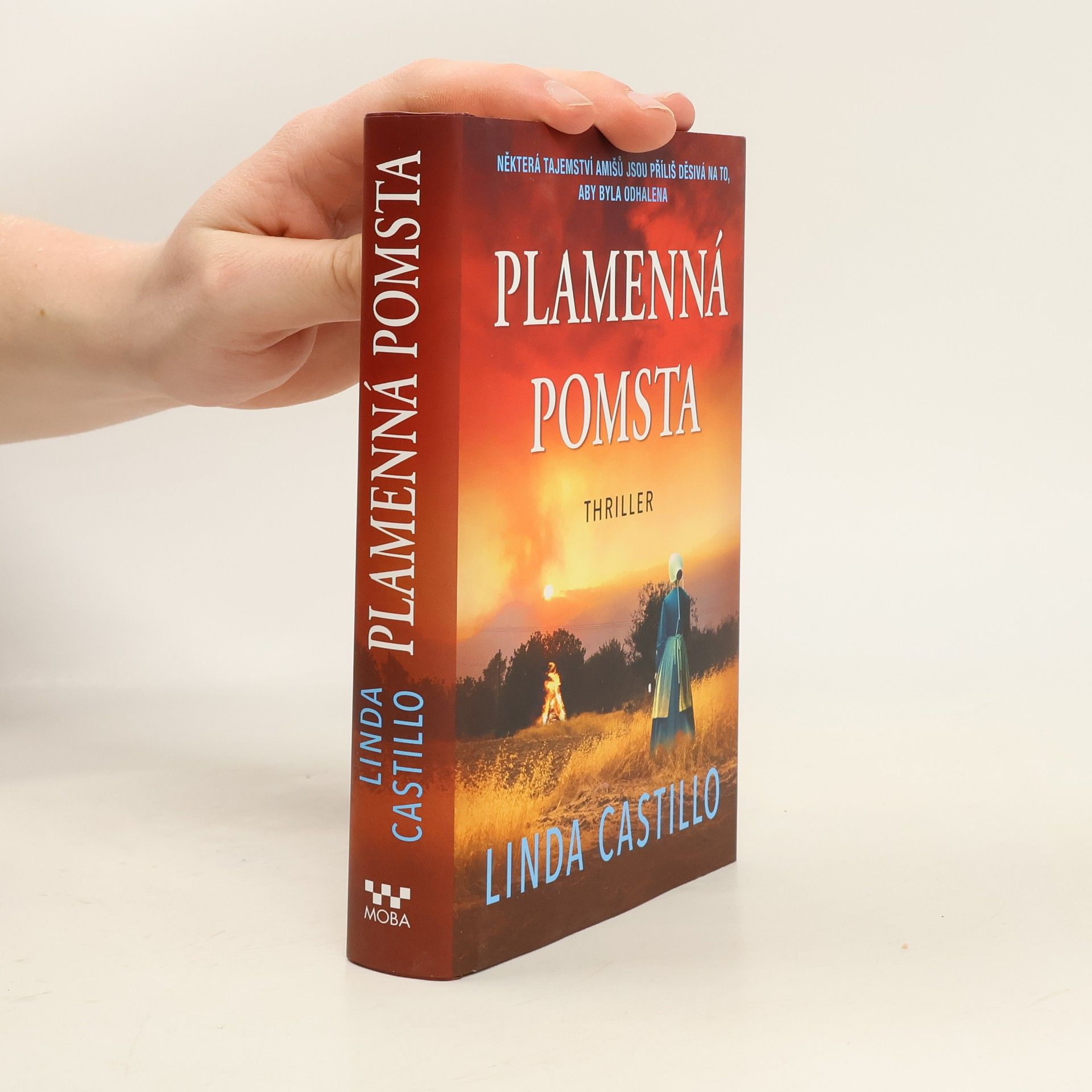 Linda Castillo Plamenná pomsta