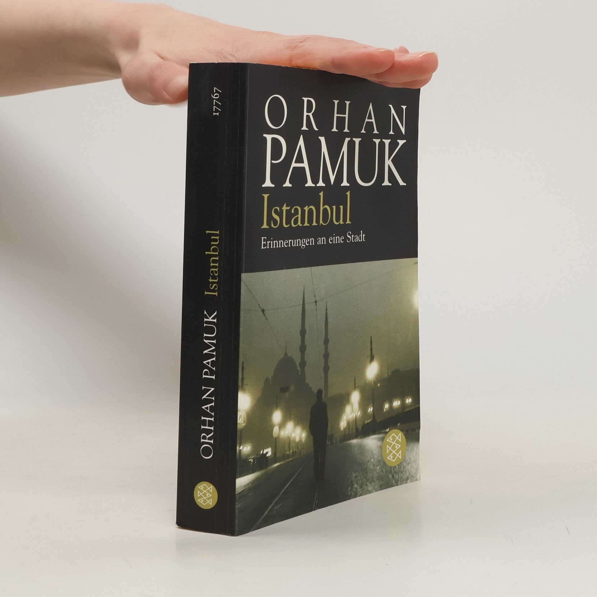 Orhan Pamuk Istanbul - Erinnerungen an eine Stadt