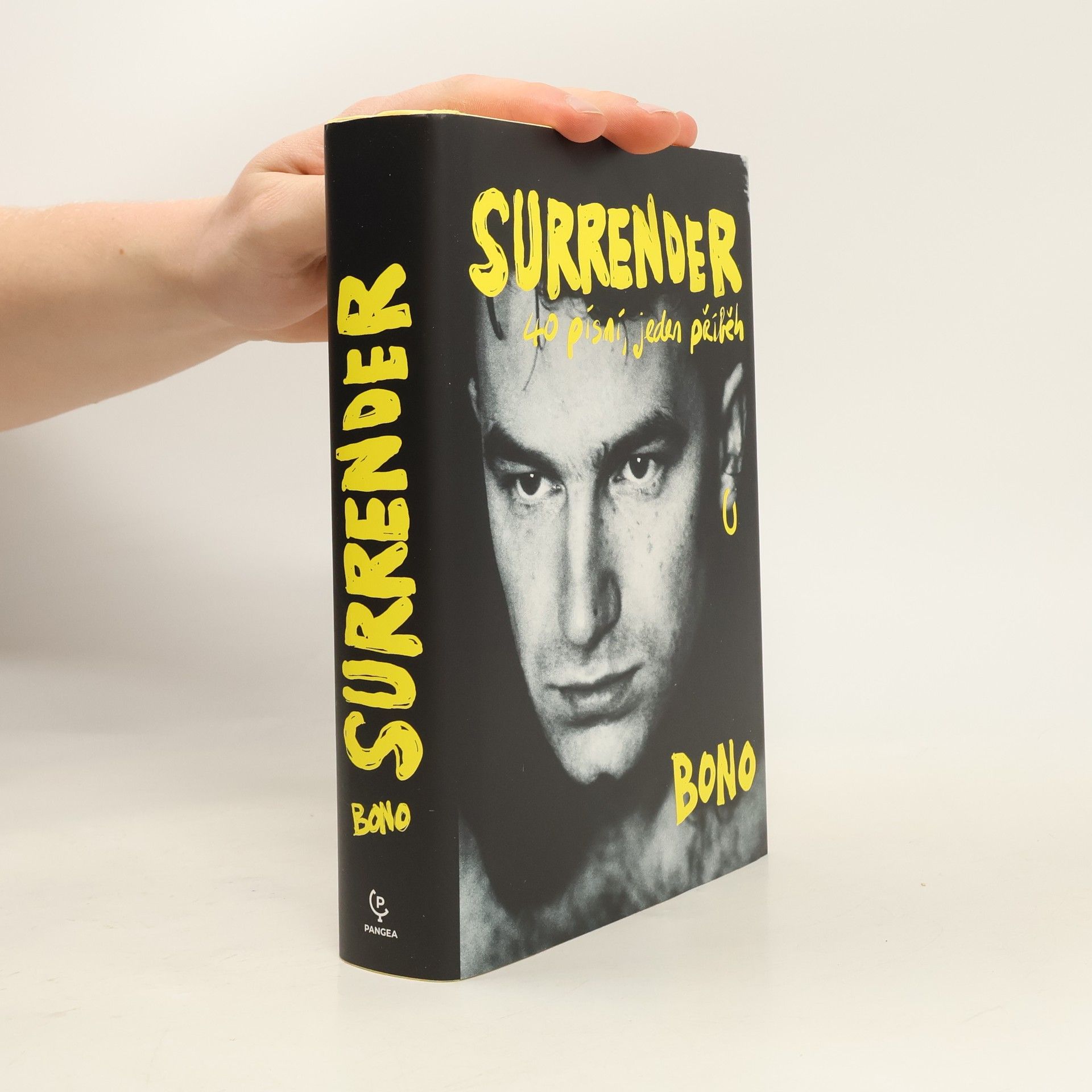 Bono Surrender : 40 písní, jeden příběh