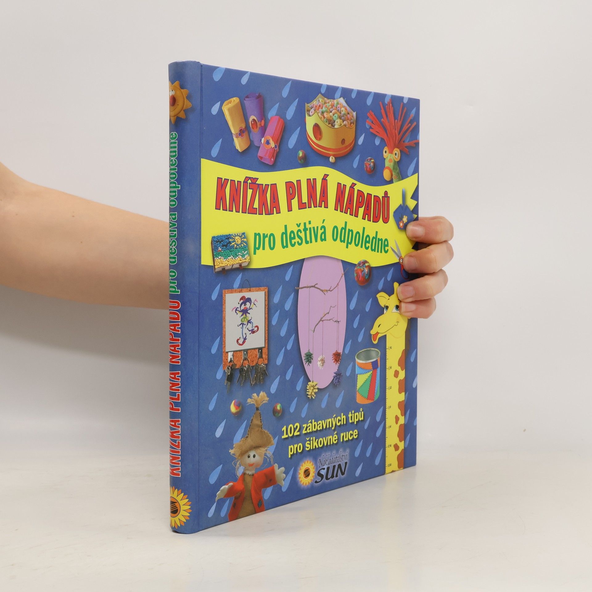 Alicia Pereiro Knížka plná nápadů pro deštivá odpoledne: 102 zábavných tipů pro šikovné ruce