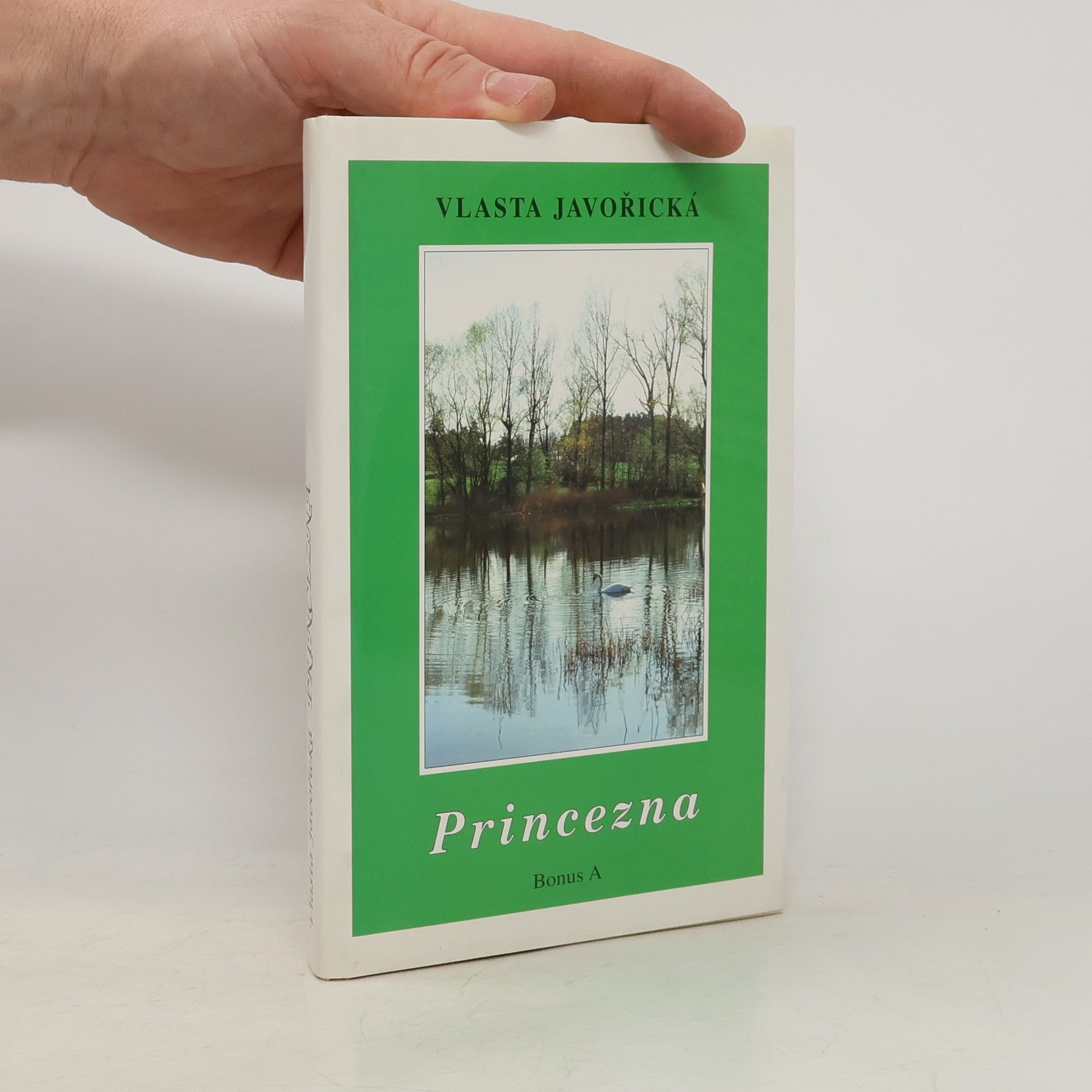 Vlasta Javořická Princezna : román dívky dvacátého století