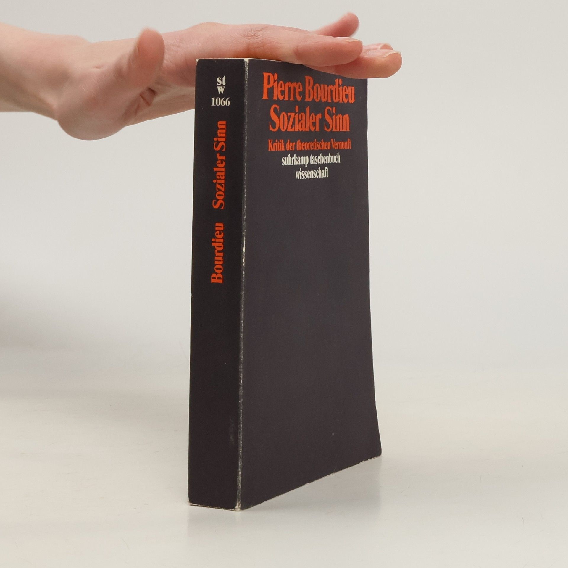 Pierre Bourdieu Sozialer Sinn