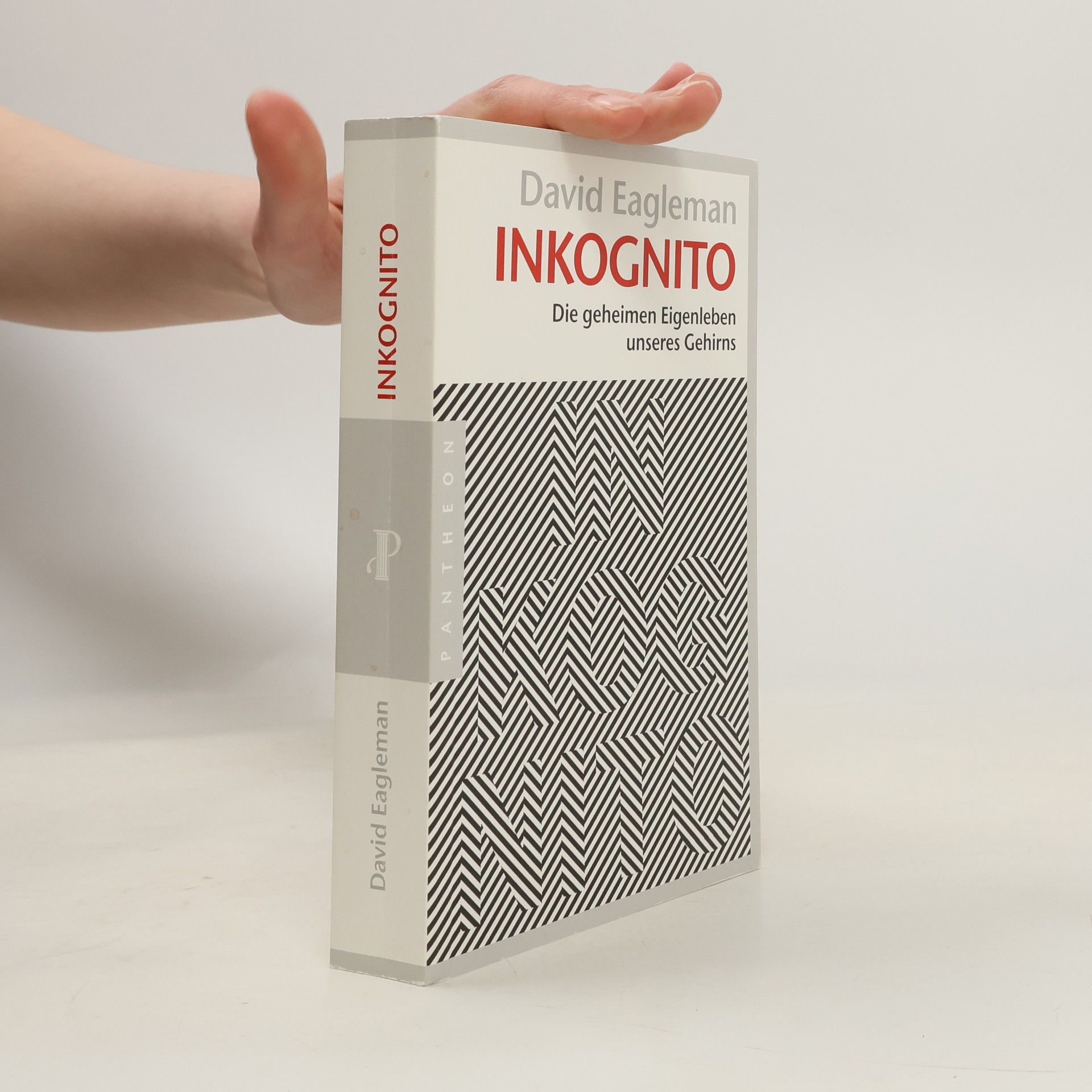 David Eagleman Inkognito