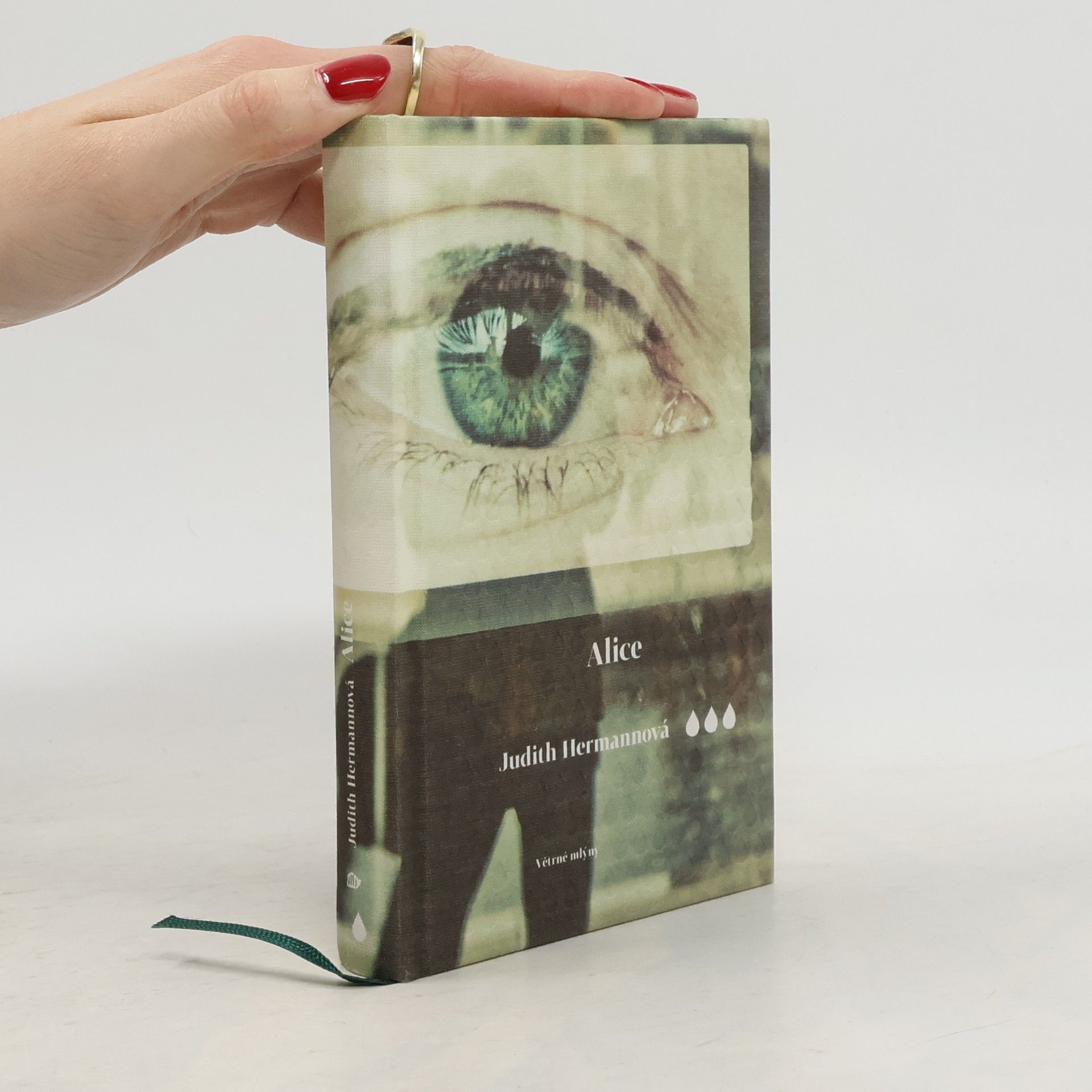 Judith Hermann Alice