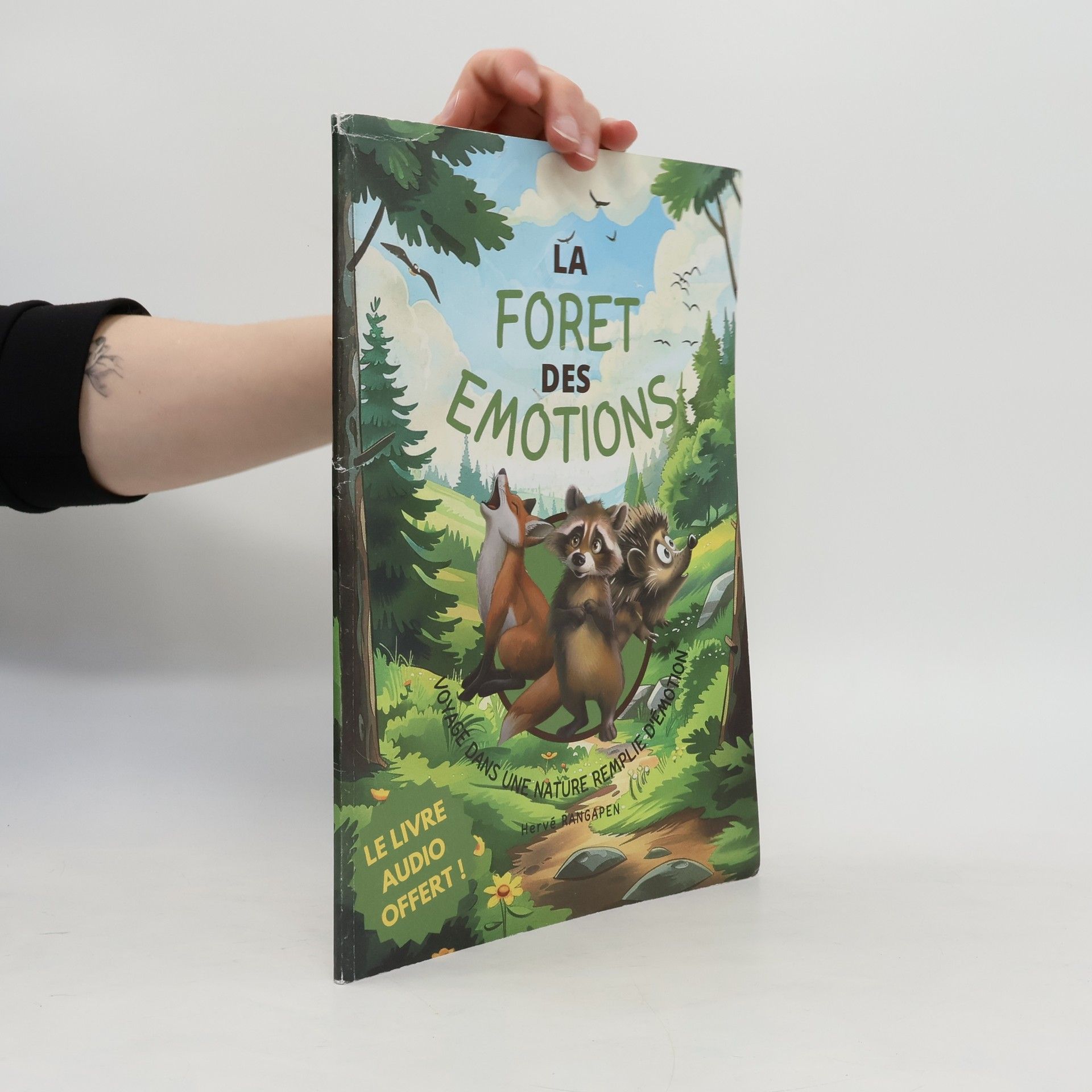 Harvé Rangapen La Foret des Emotions