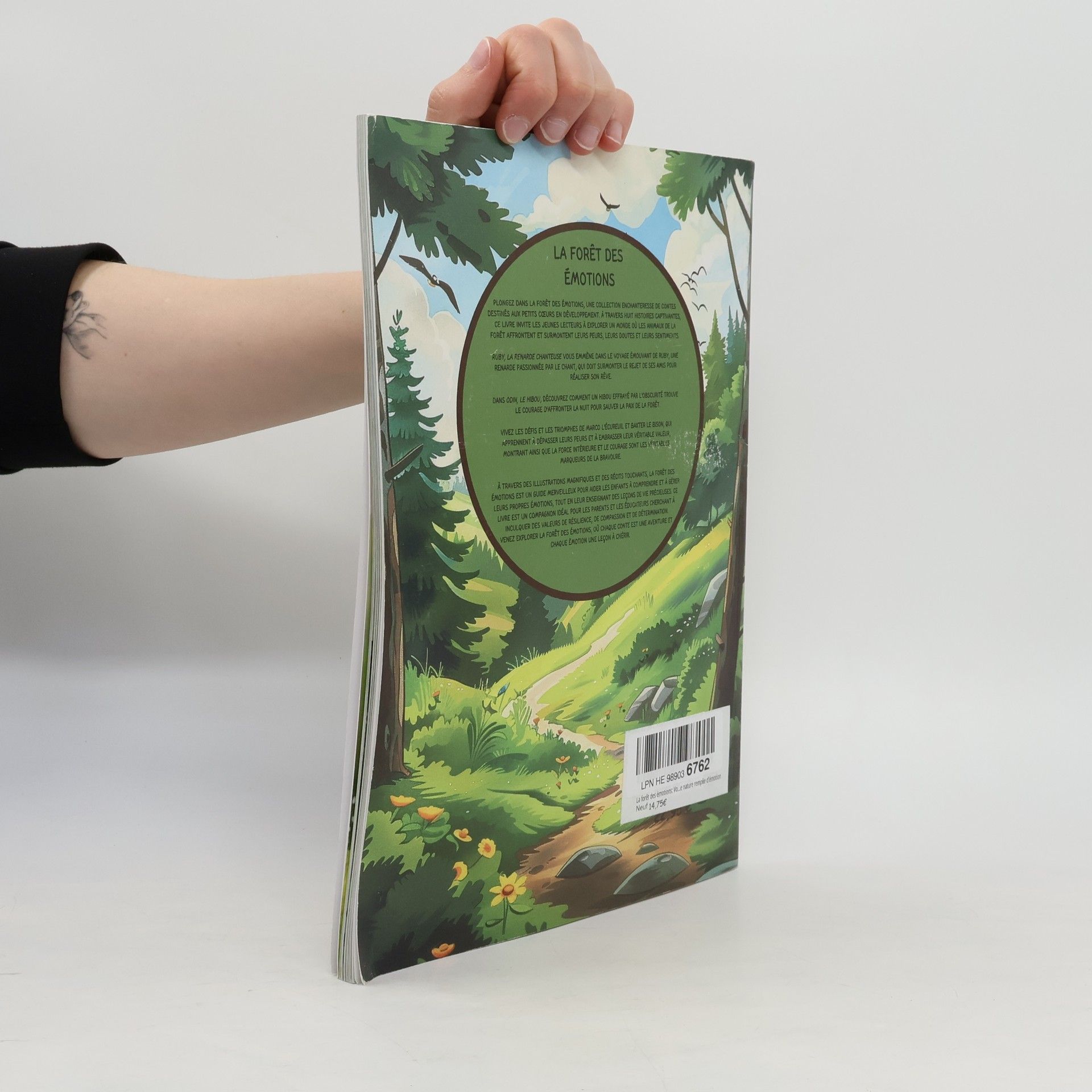Harvé Rangapen La Foret des Emotions