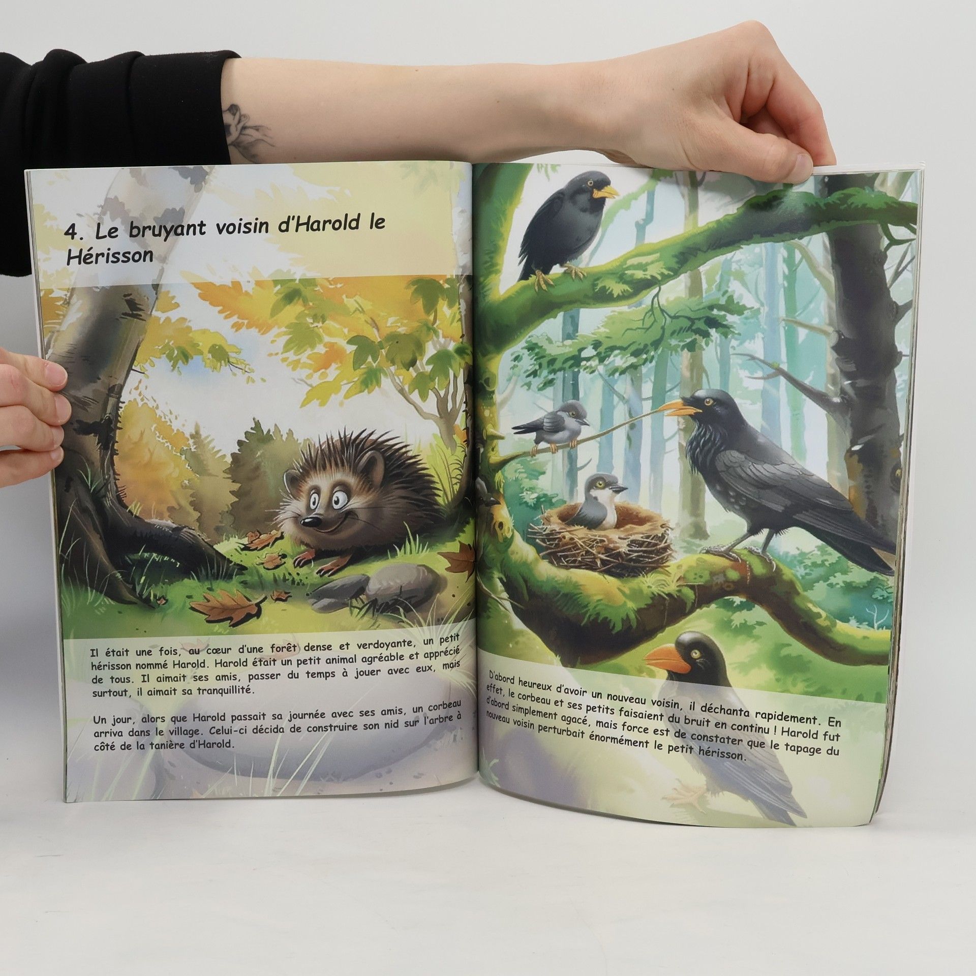 Harvé Rangapen La Foret des Emotions