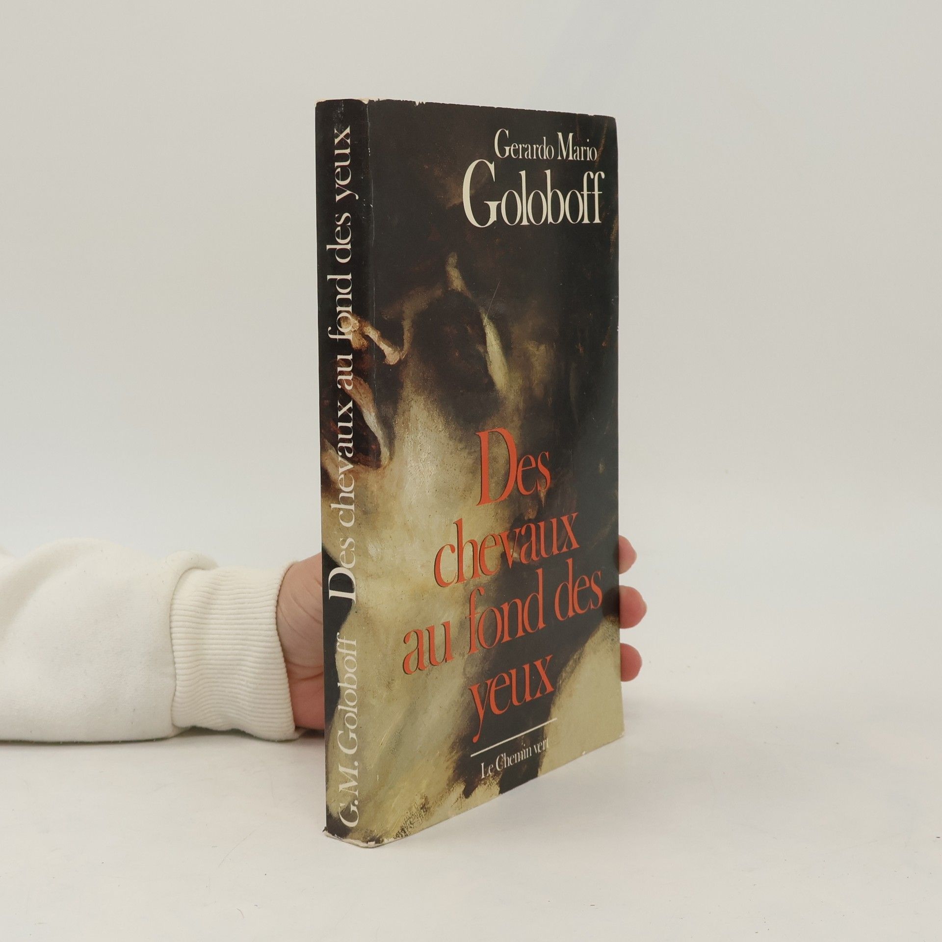 Gerardo Mario Goloboff Des chevaux au fond des yeux
