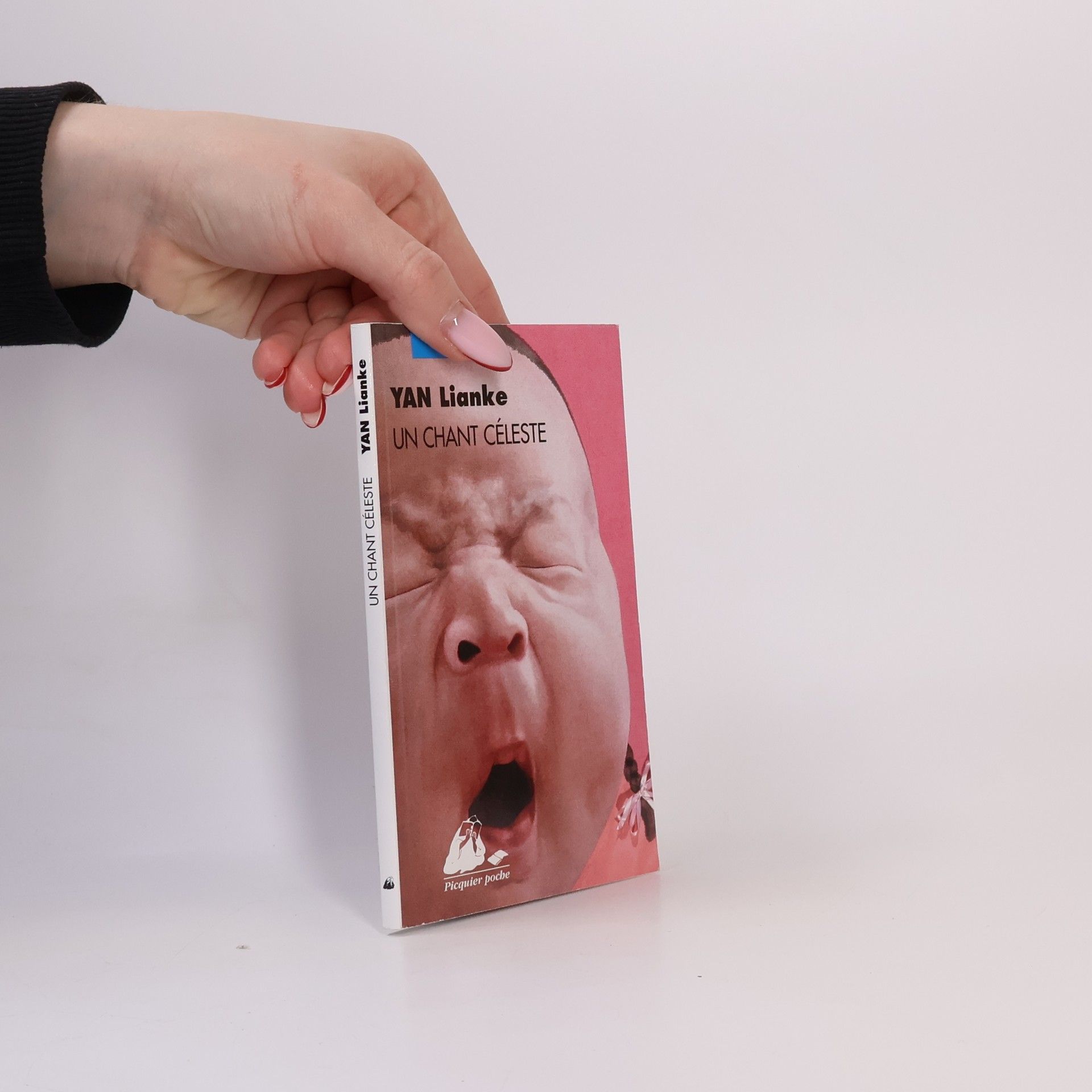 Sylvie Gentil Un chant céleste