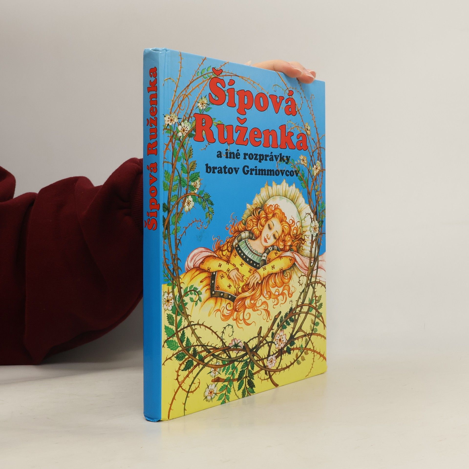 Various authors Šípová Ruženka a iné rozprávky bratov Grimmovcov