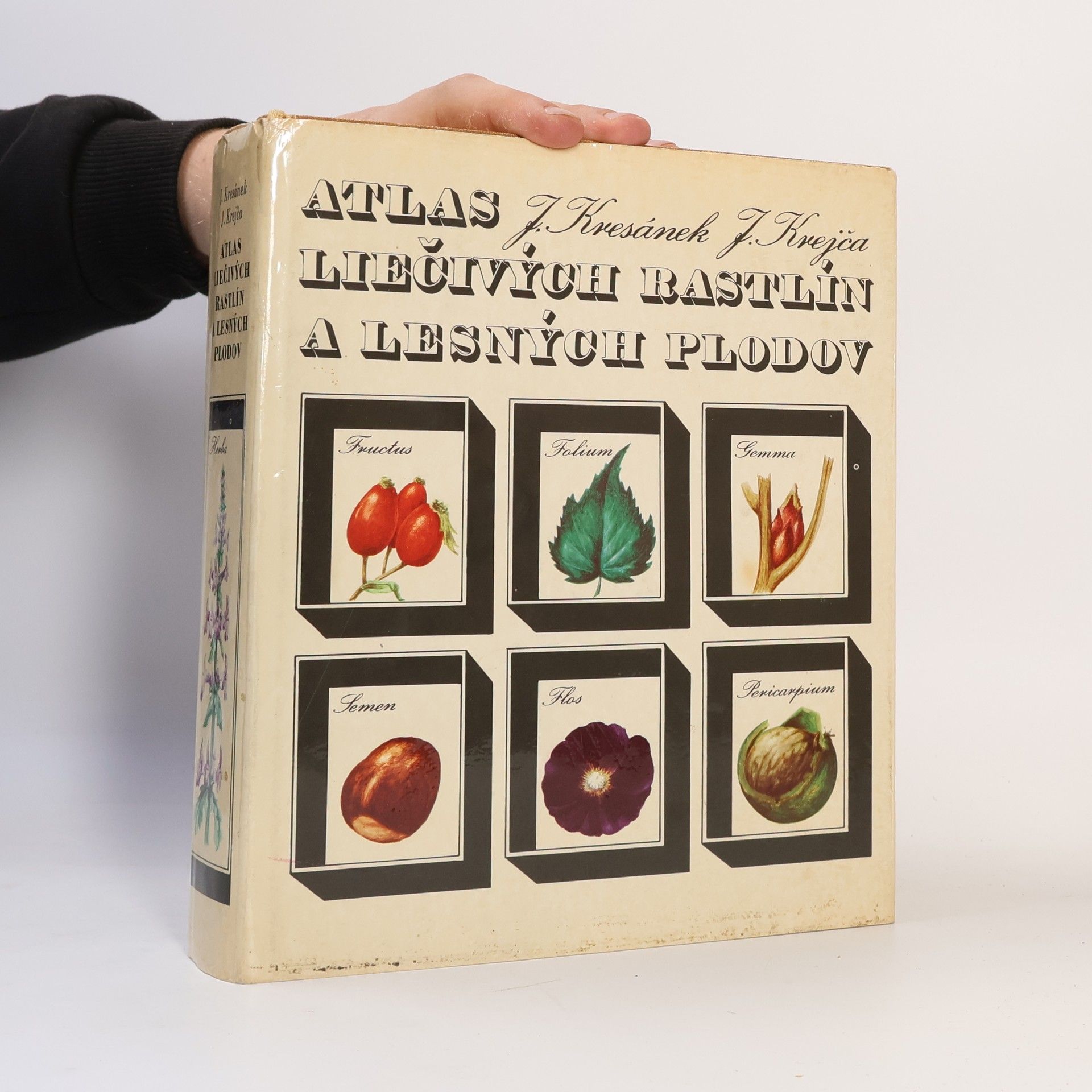 Jaroslav Kresánek Atlas liečivých rastlín a lesných plodov