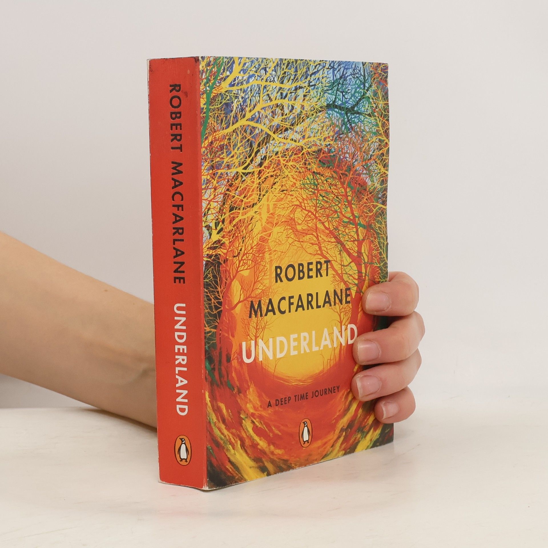 Robert McFarlane Underland: A Deep Time Journey