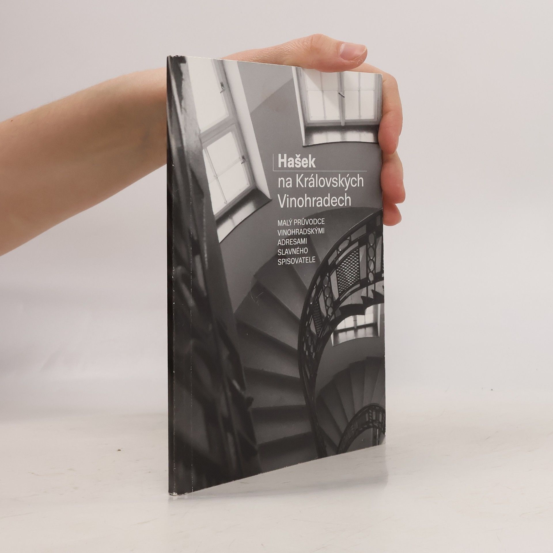 Marek Krejčí Hašek na Královských Vinohradech