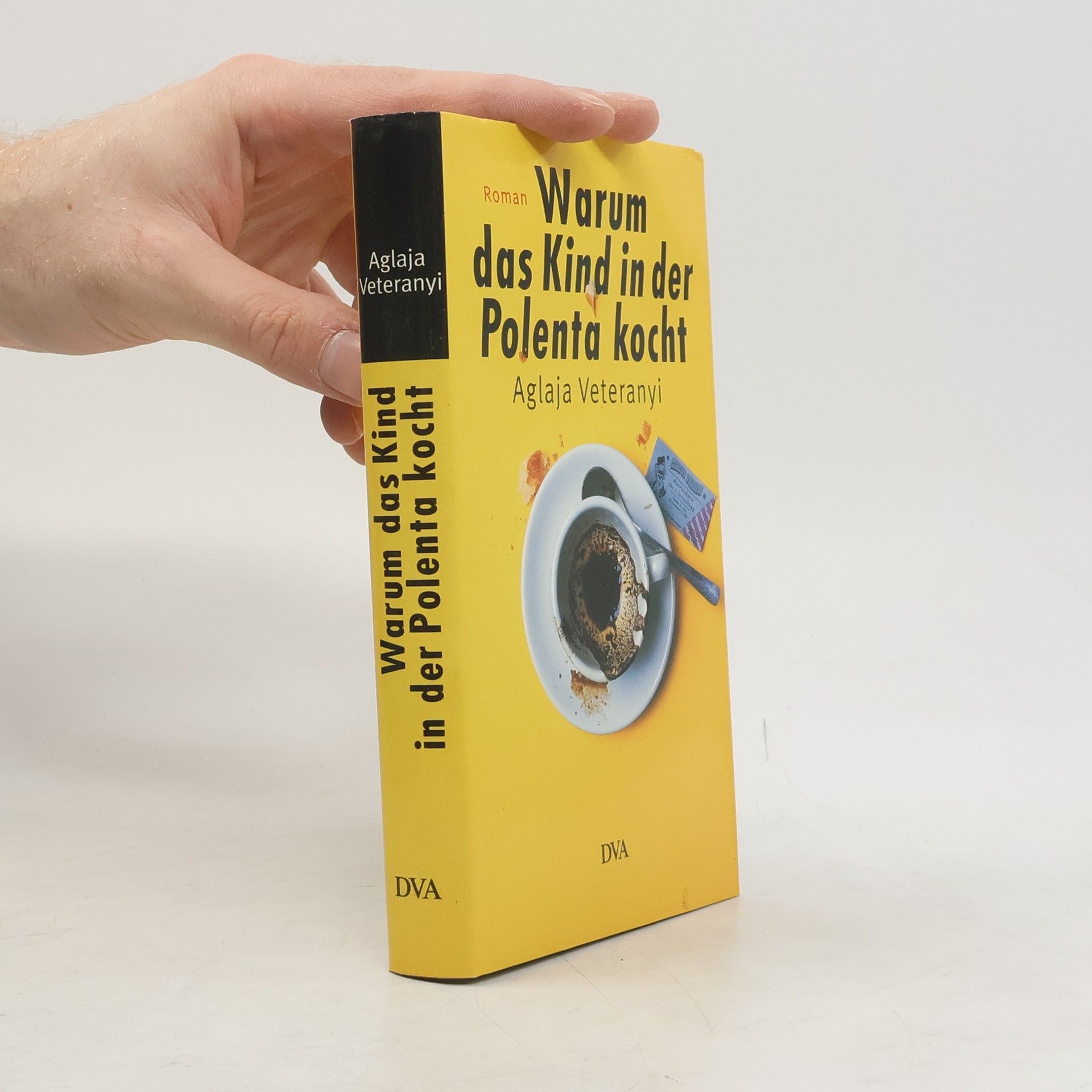 Aglaja Veteranyi Warum das Kind in der Polenta kocht