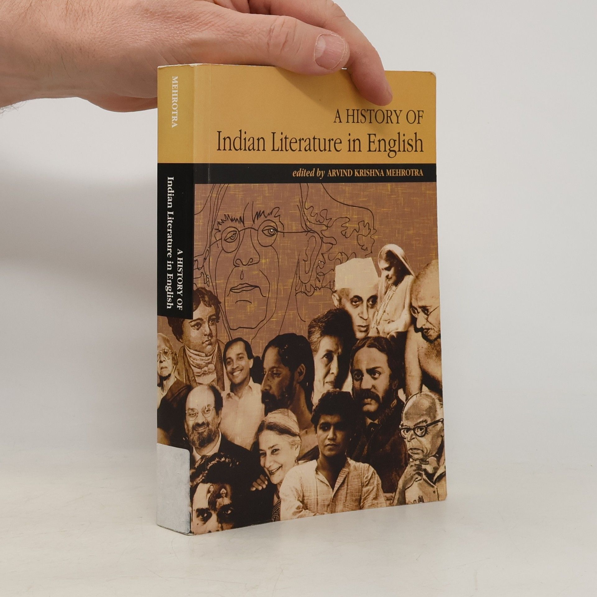 Arvind Krishna Mehrotra The Illustrated History of Indian Literature in English