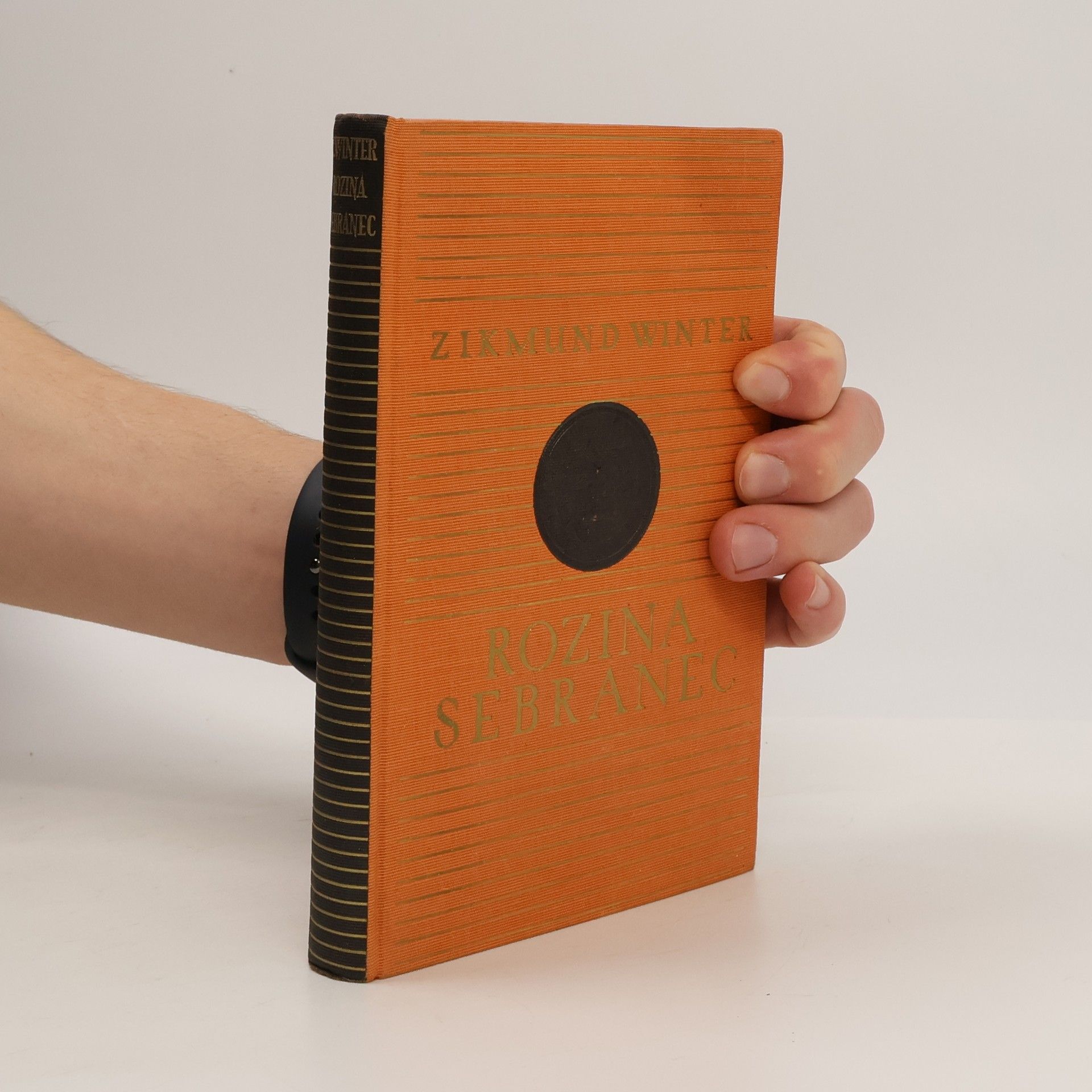 Zikmund Winter Rozina sebranec a jiné pražské obrázky