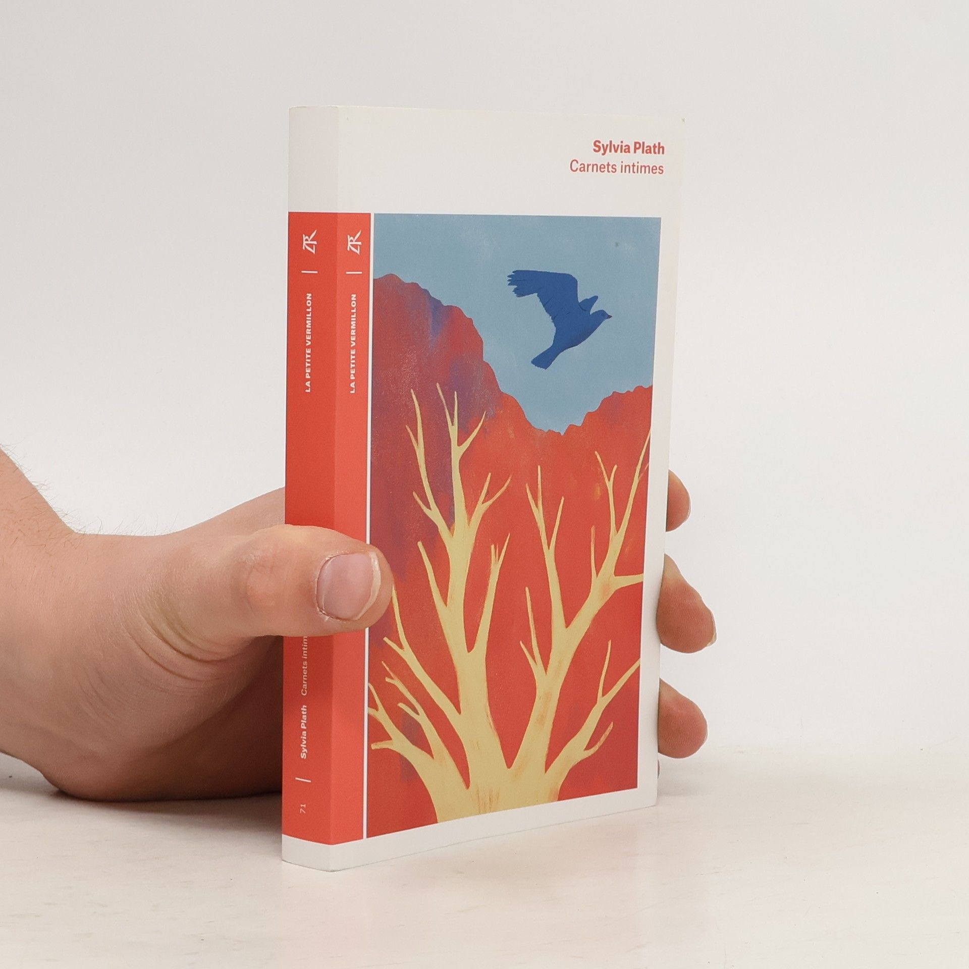 Sylvia Plath Carnets intimes