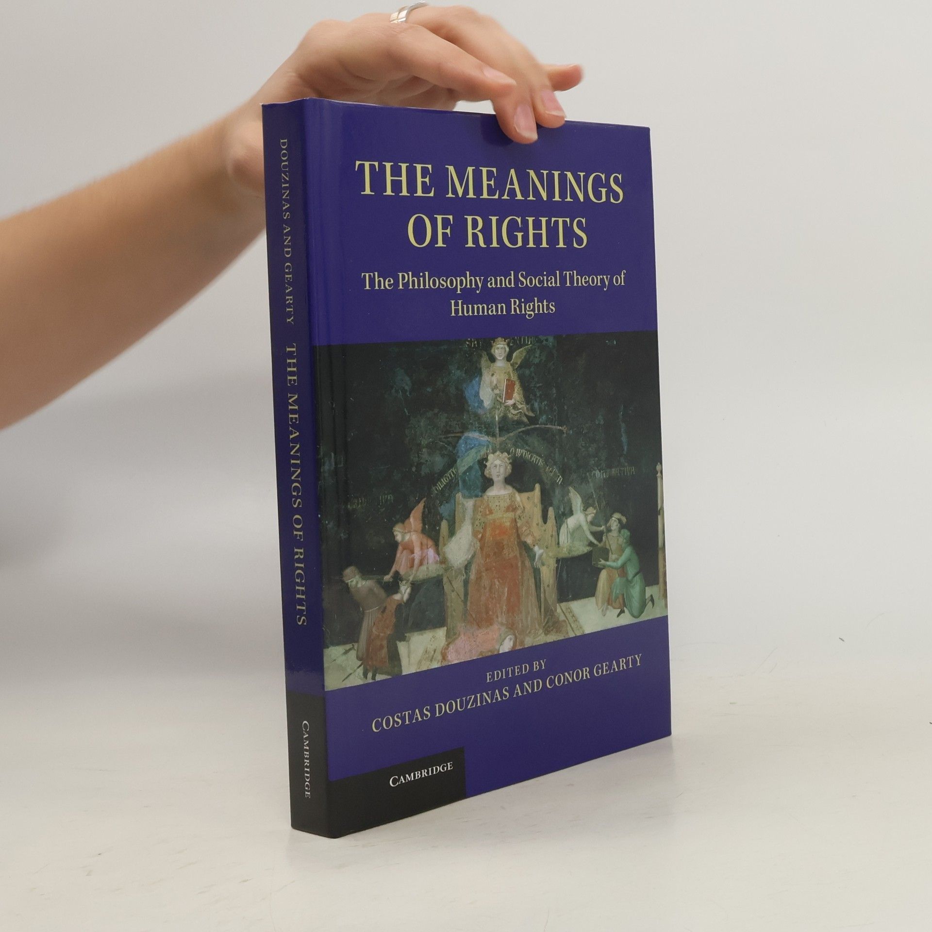 Costas Douzinas The Meanings of Rights