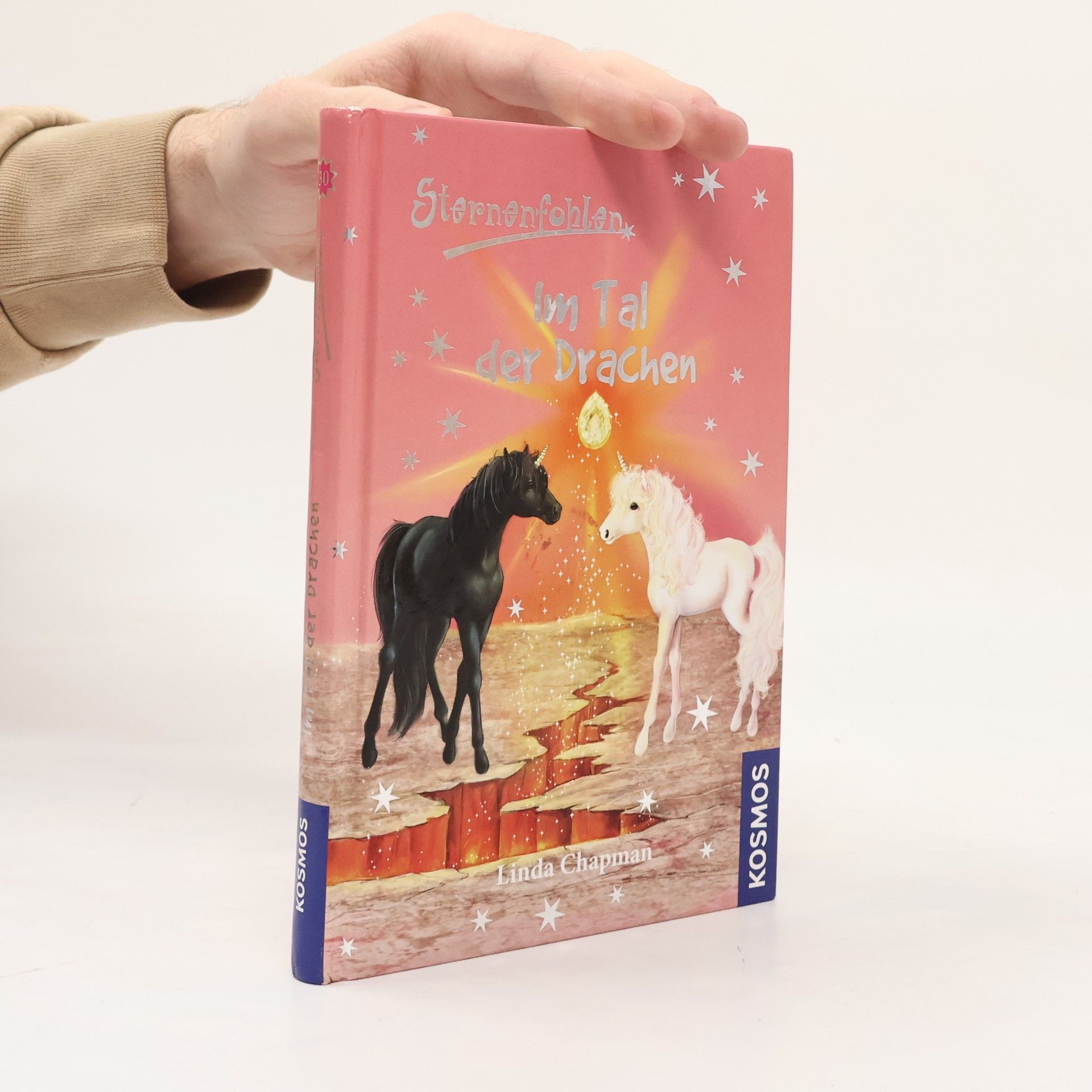 Linda Chapman Im Tal der Drachen