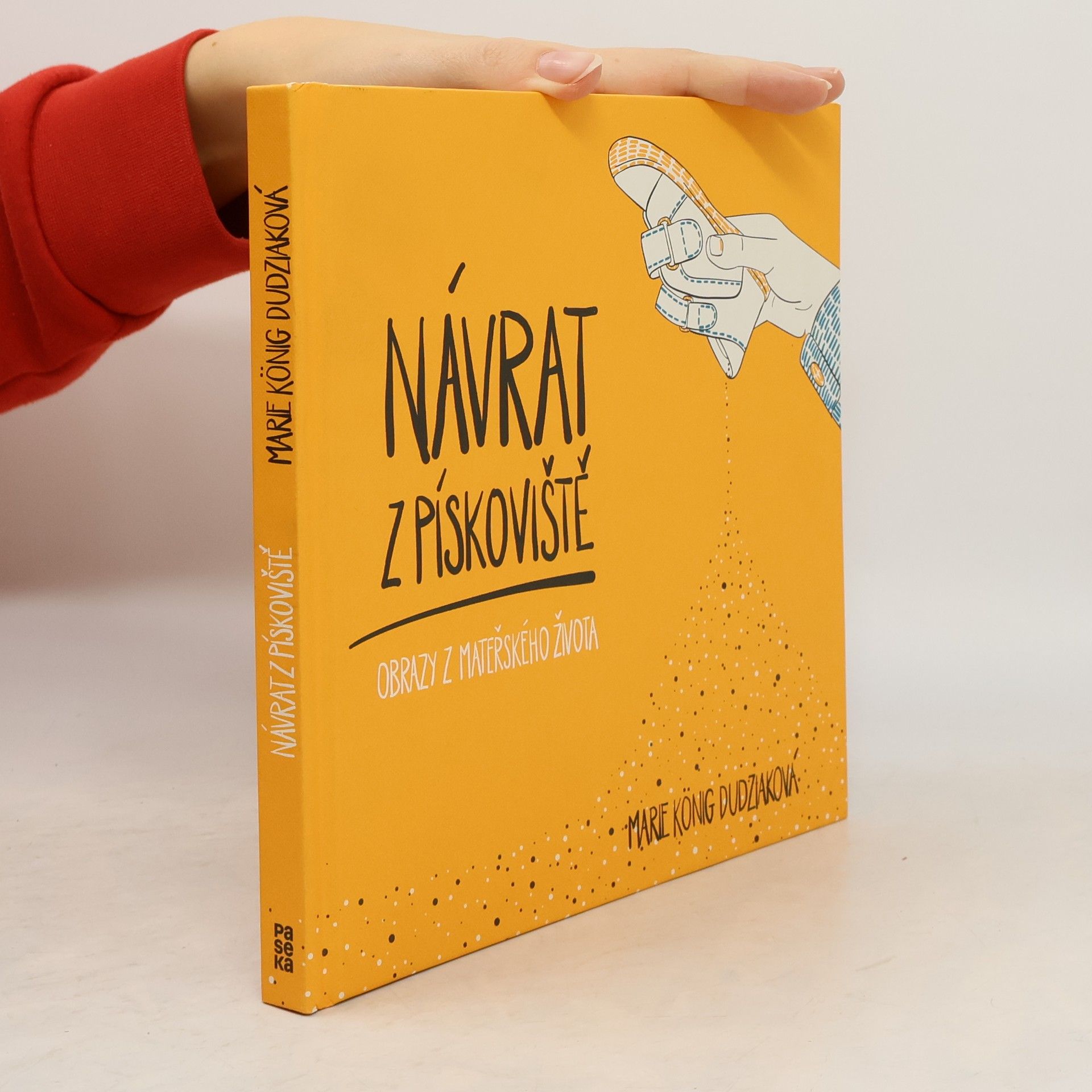 Marie König Dudziaková Návrat z pískoviště : obrazy z mateřského života