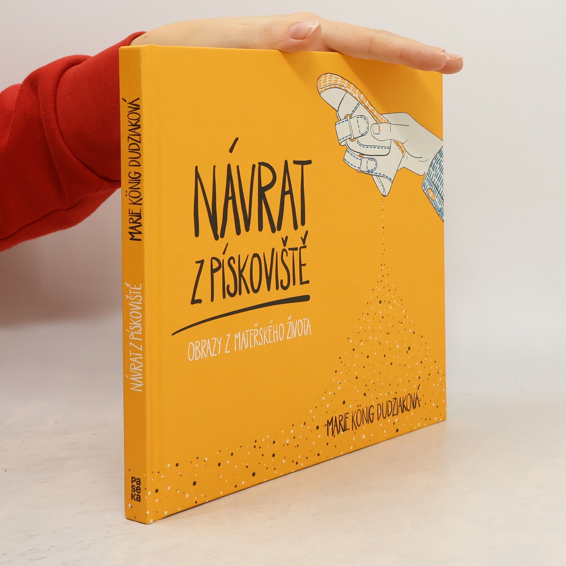 Marie König Dudziaková Návrat z pískoviště : obrazy z mateřského života