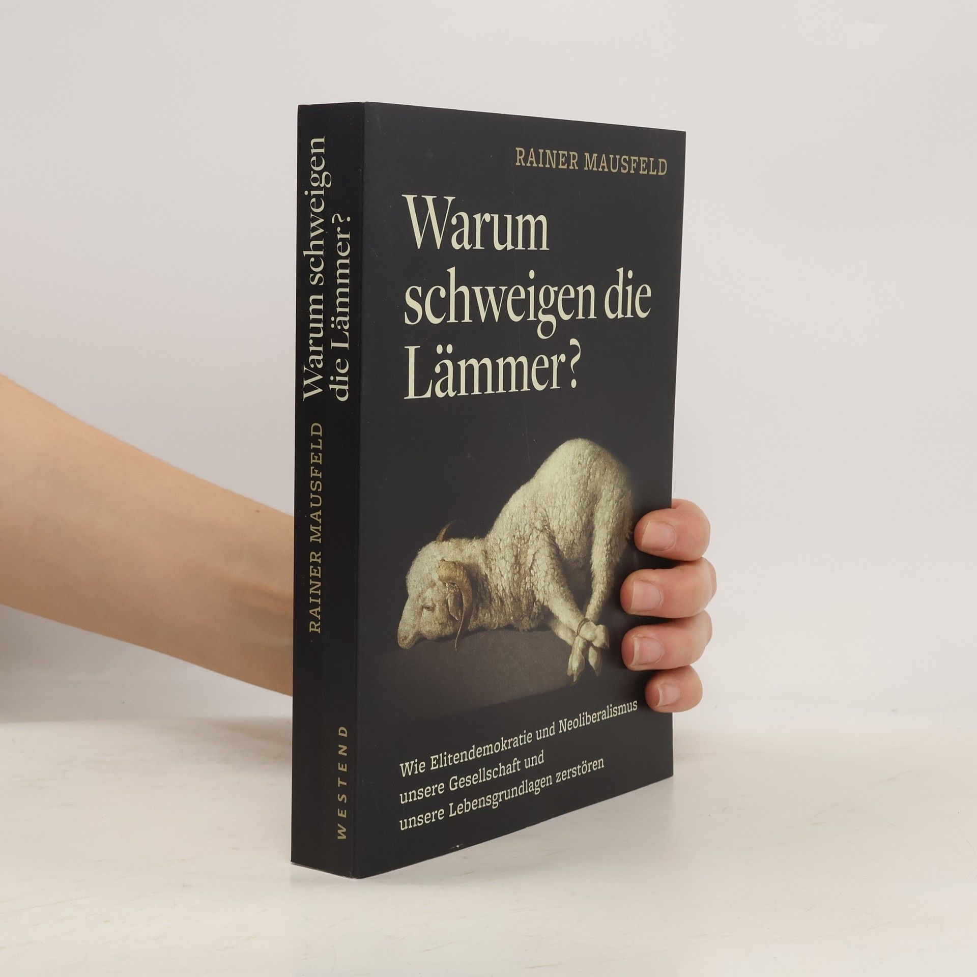 Rainer Mausfeld Warum schweigen die Lämmer?