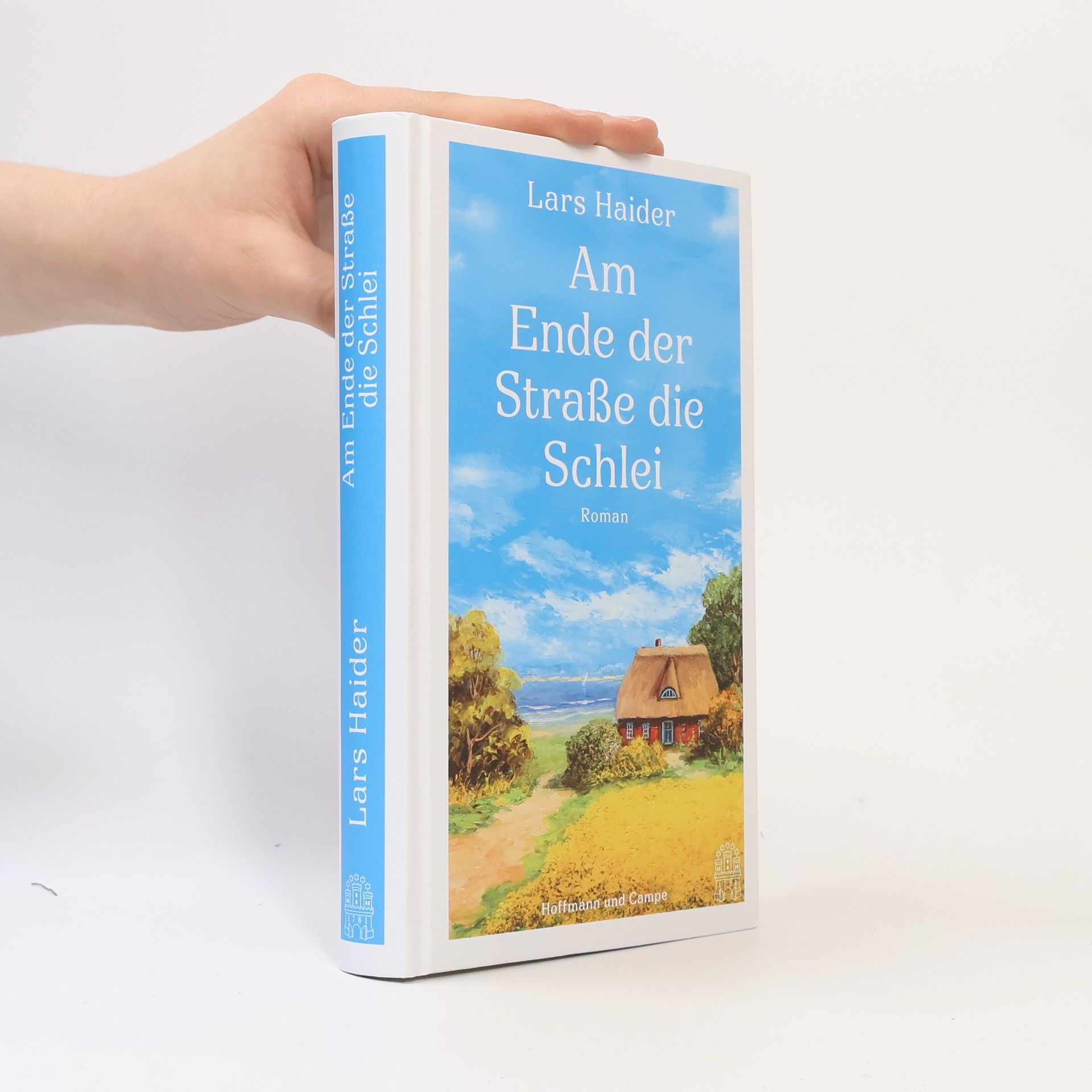 Lars Haider Am Ende der Straße die Schlei